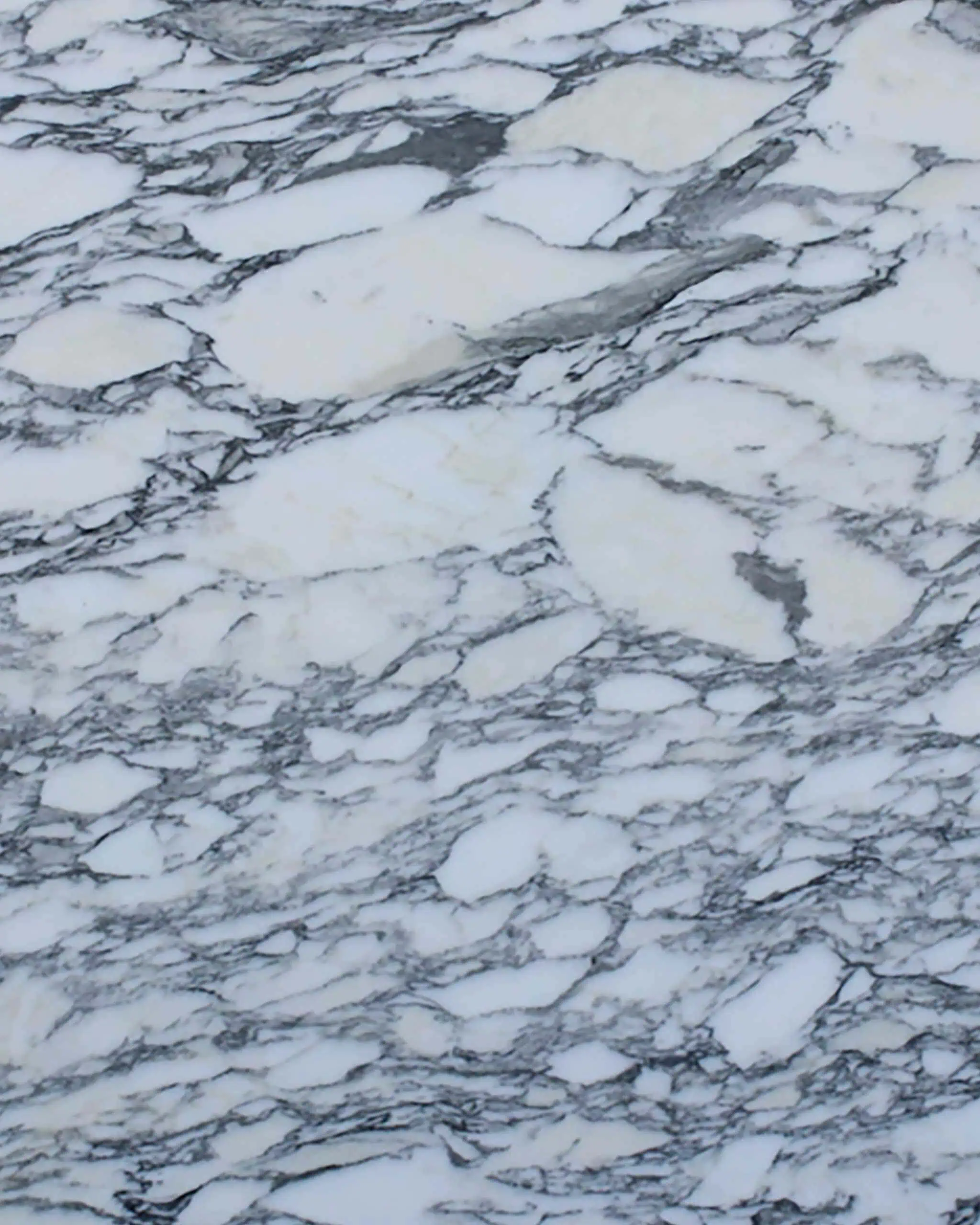 Arabescato Corchia Marble Swatch