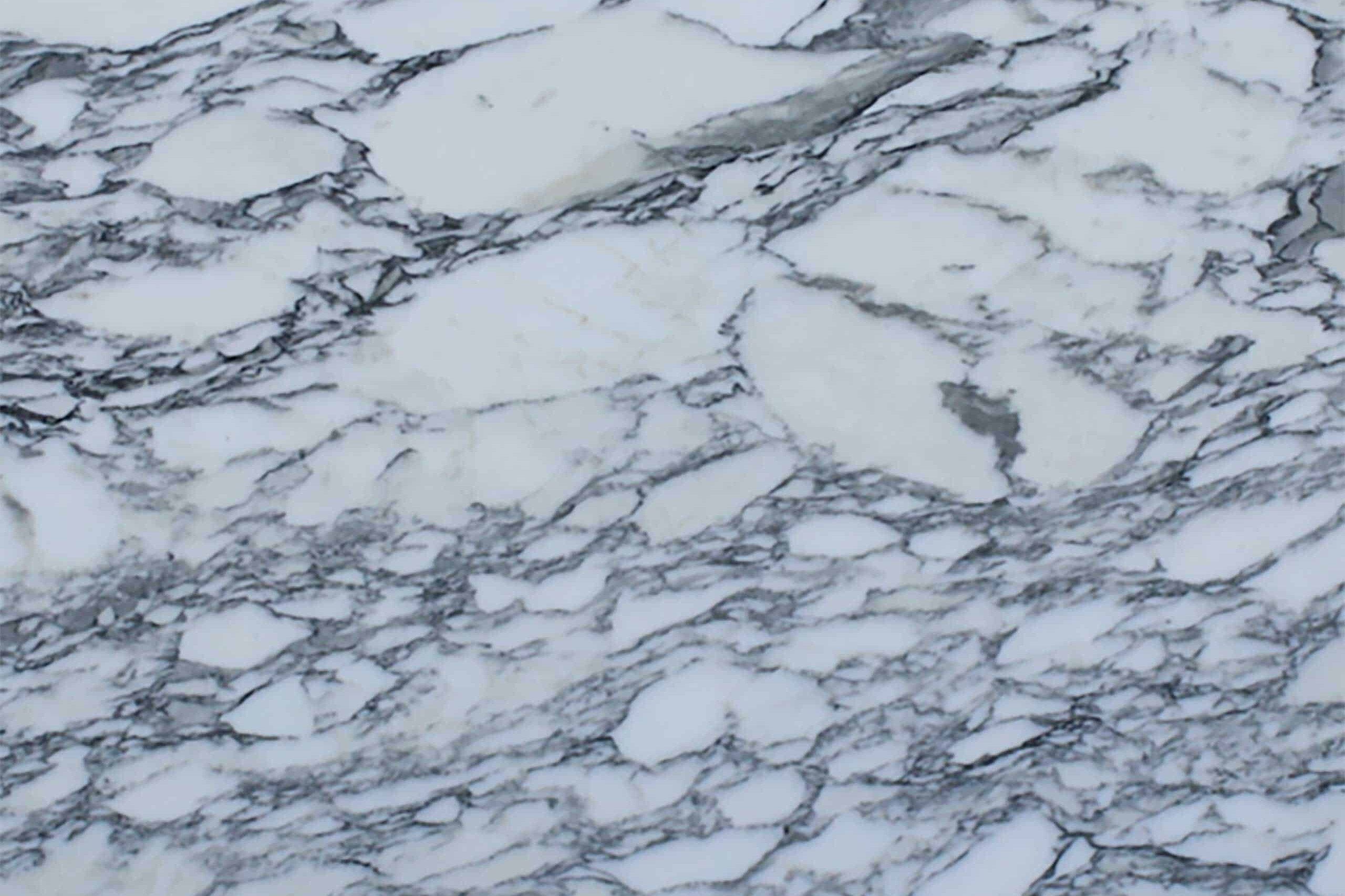 Arabescato Corchia Marble Swatch