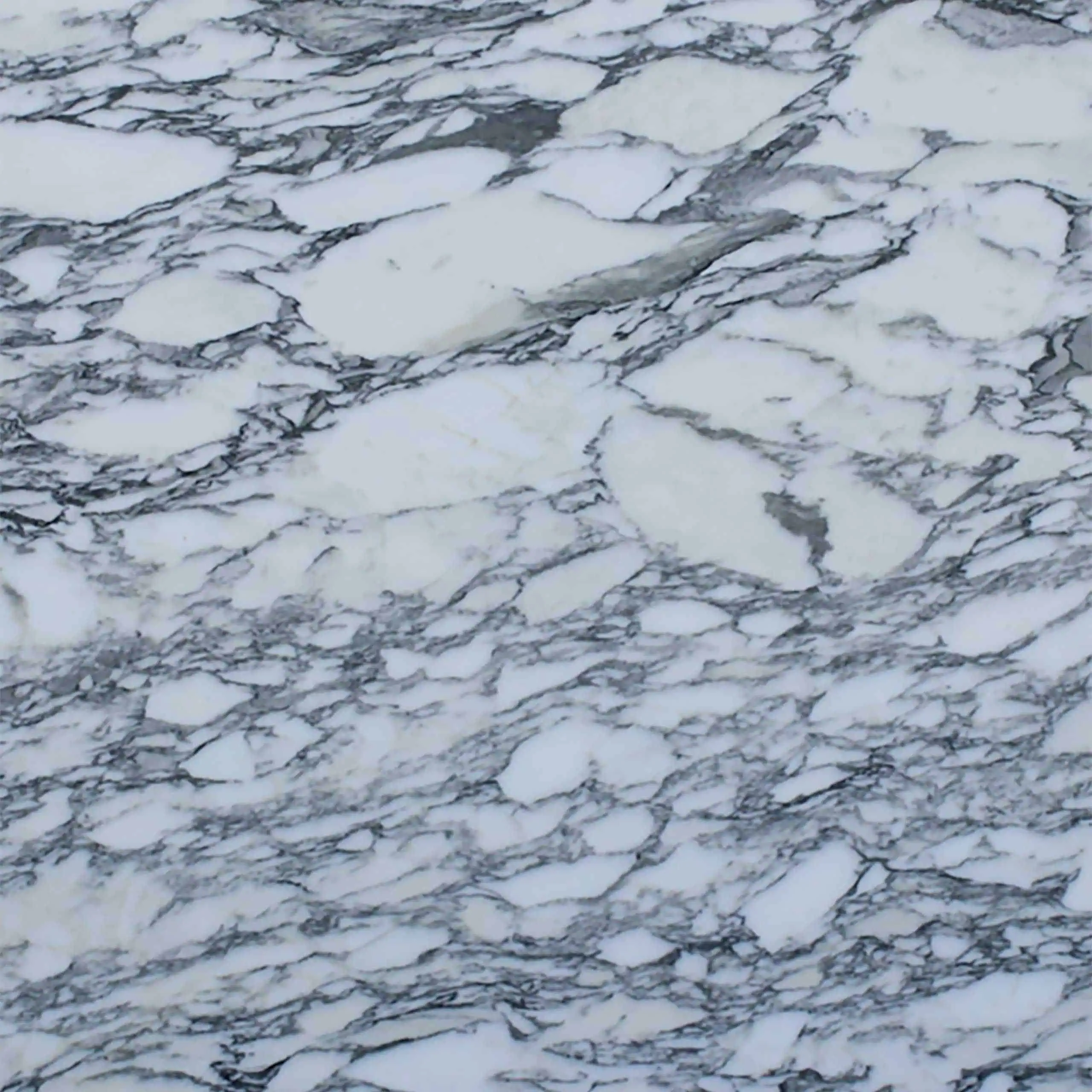 Arabescato Corchia Marble Swatch