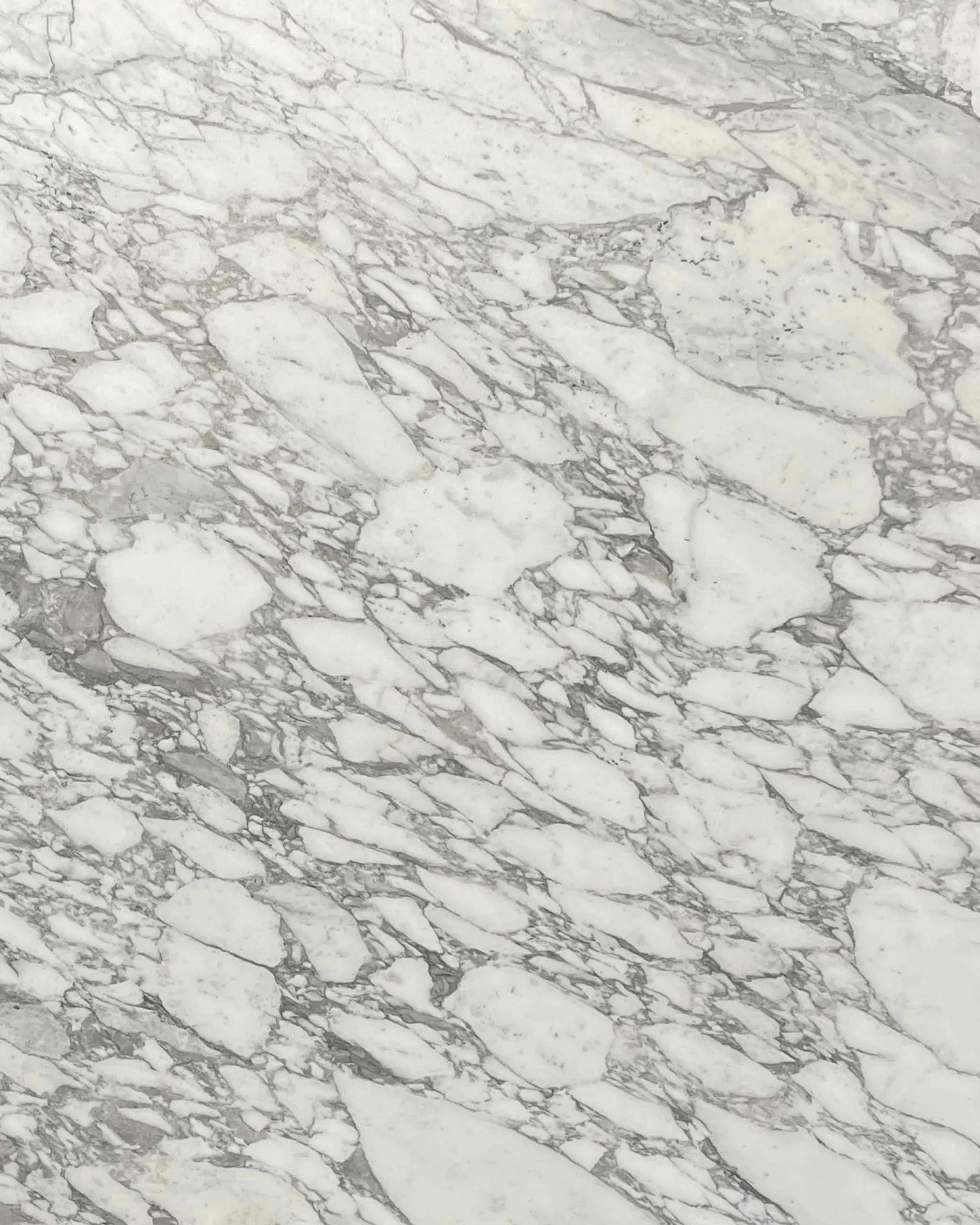 Arabescato Vagli Marble Swatch