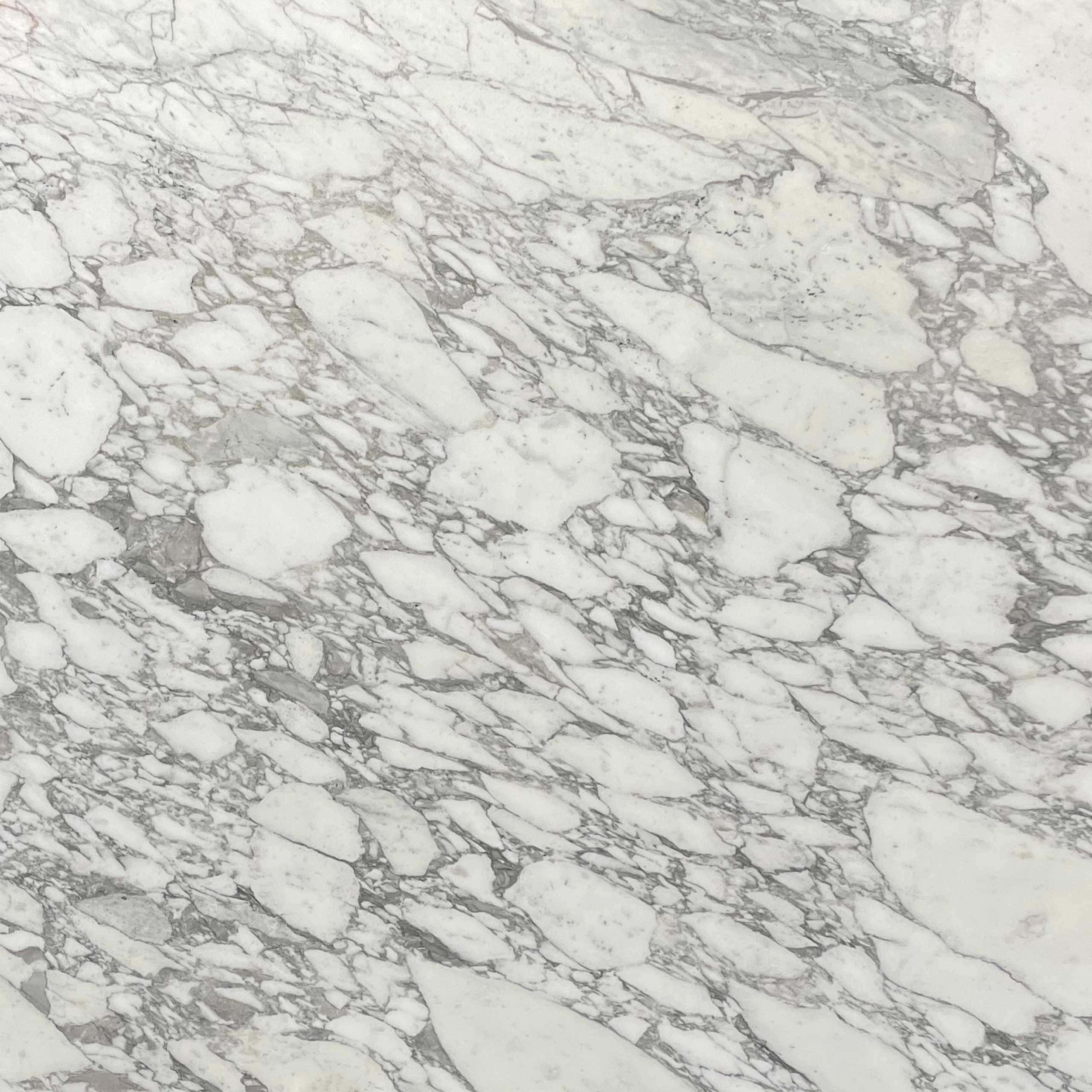 Arabescato Vagli Marble Swatch