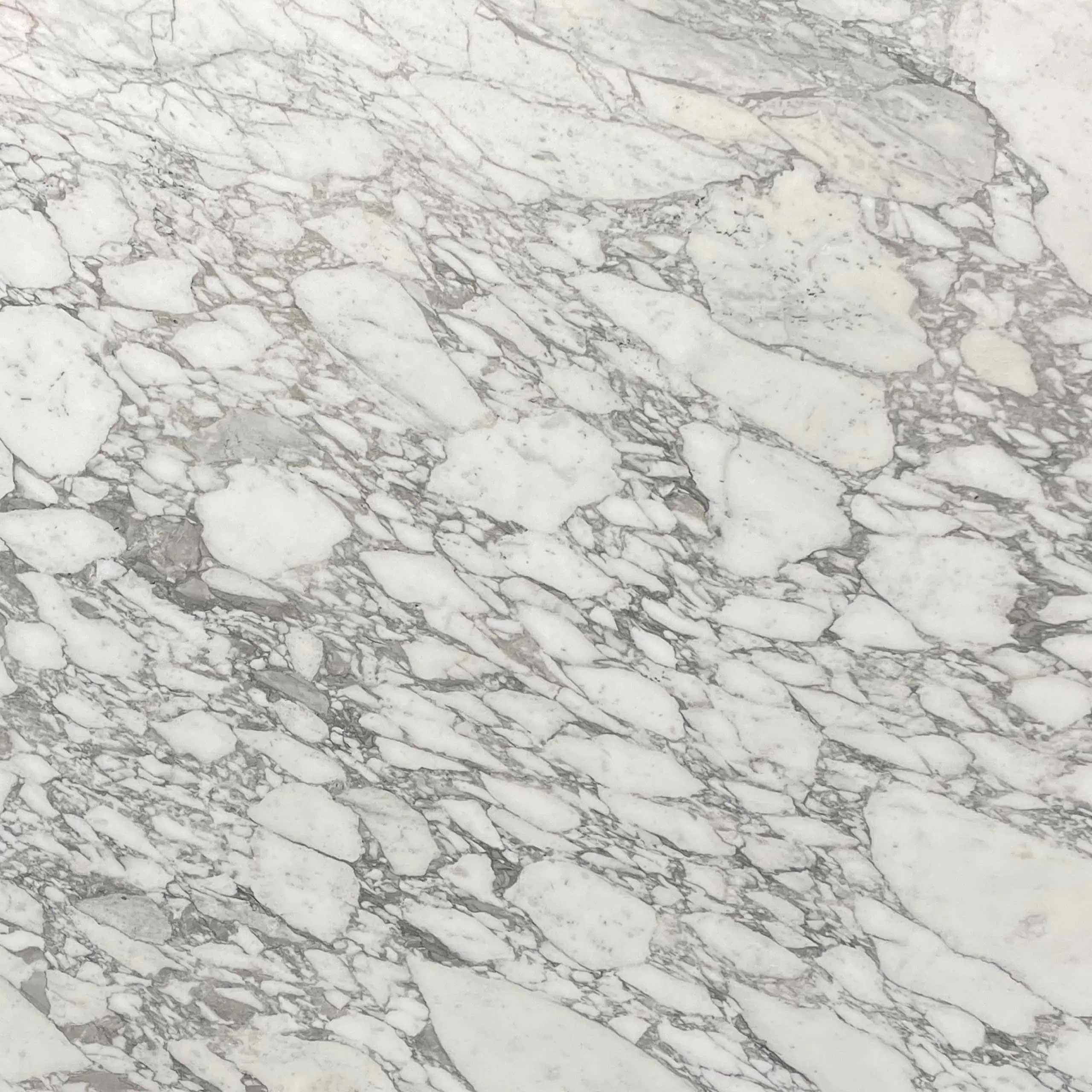Arabescato Vagli Marble Swatch