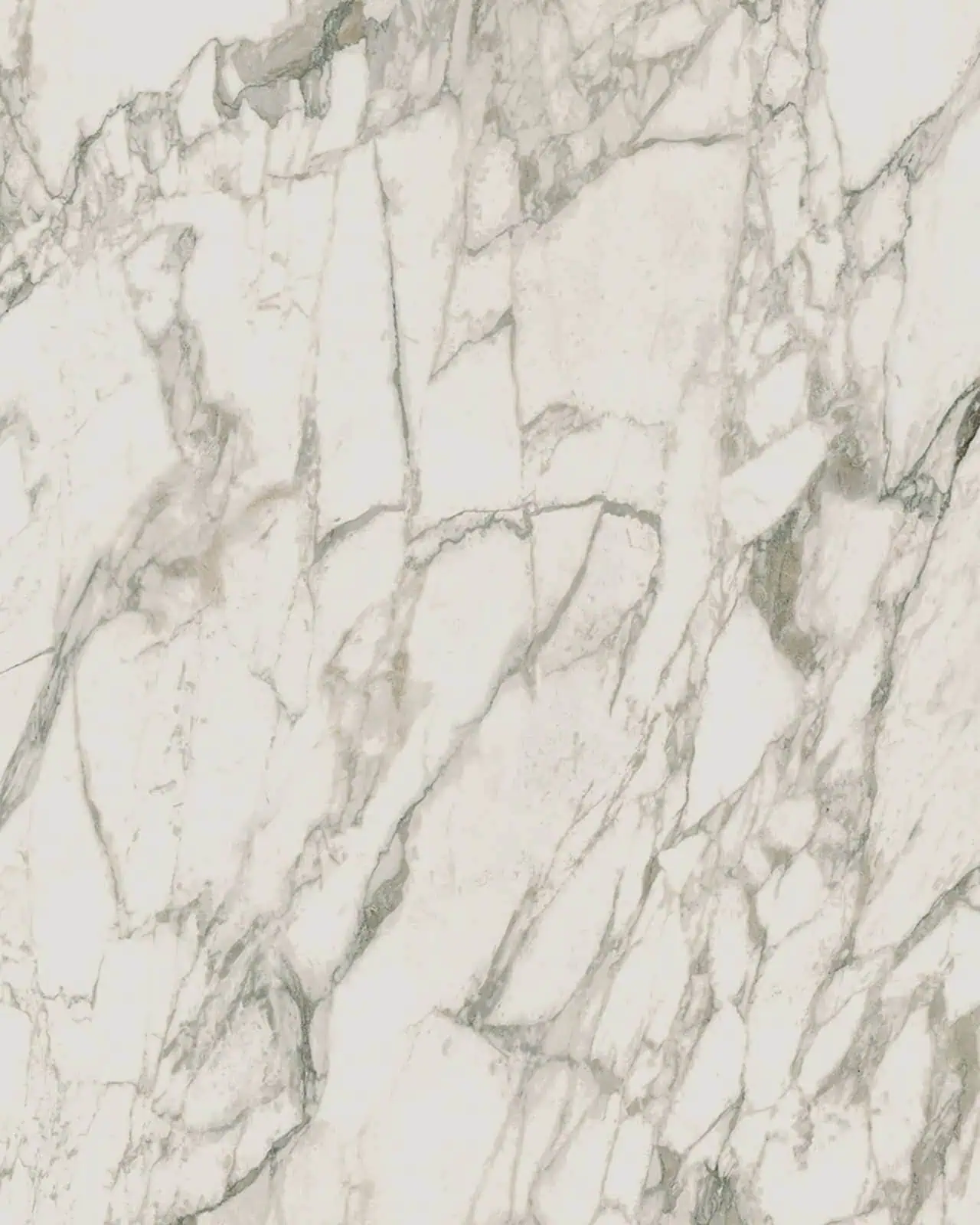 Arabescato Vagli Porcelain Swatch