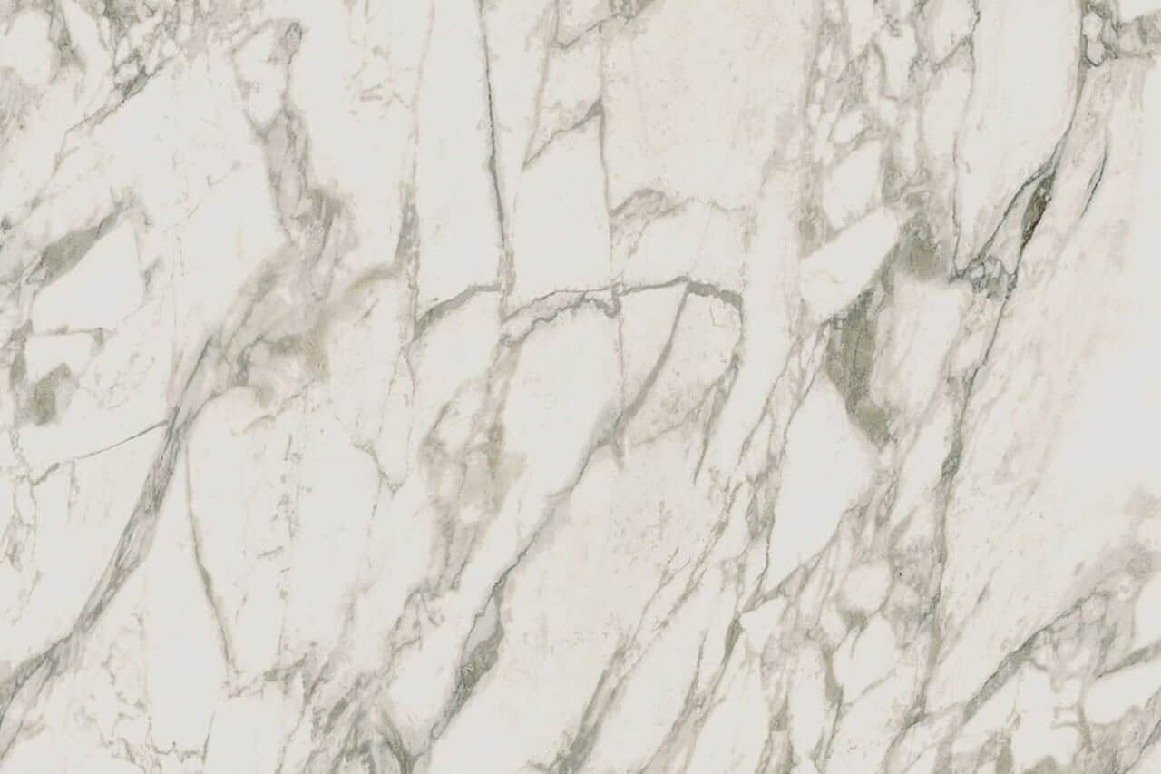 Arabescato Vagli Porcelain Swatch