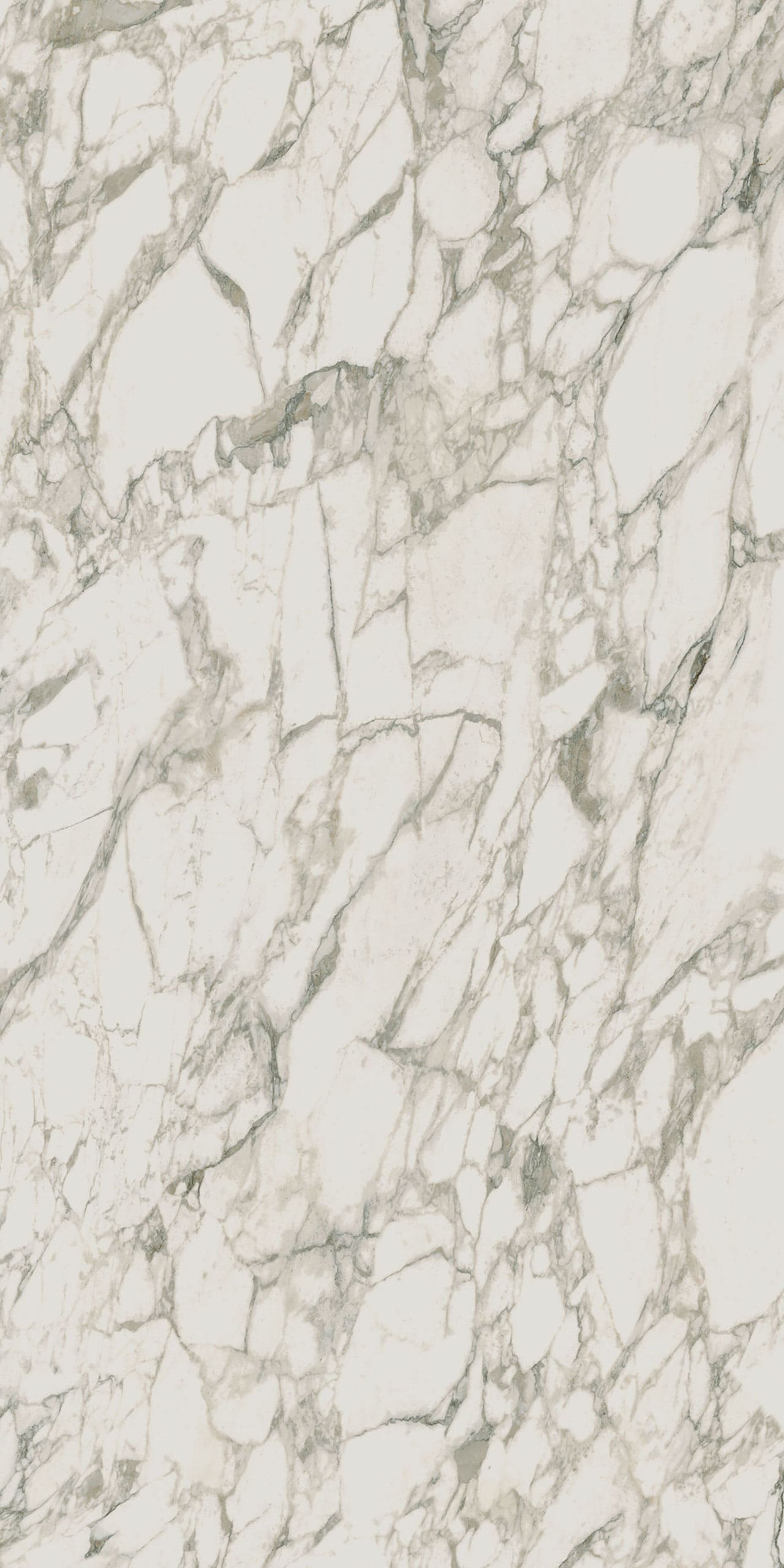 Arabescato Vagli Porcelain Swatch