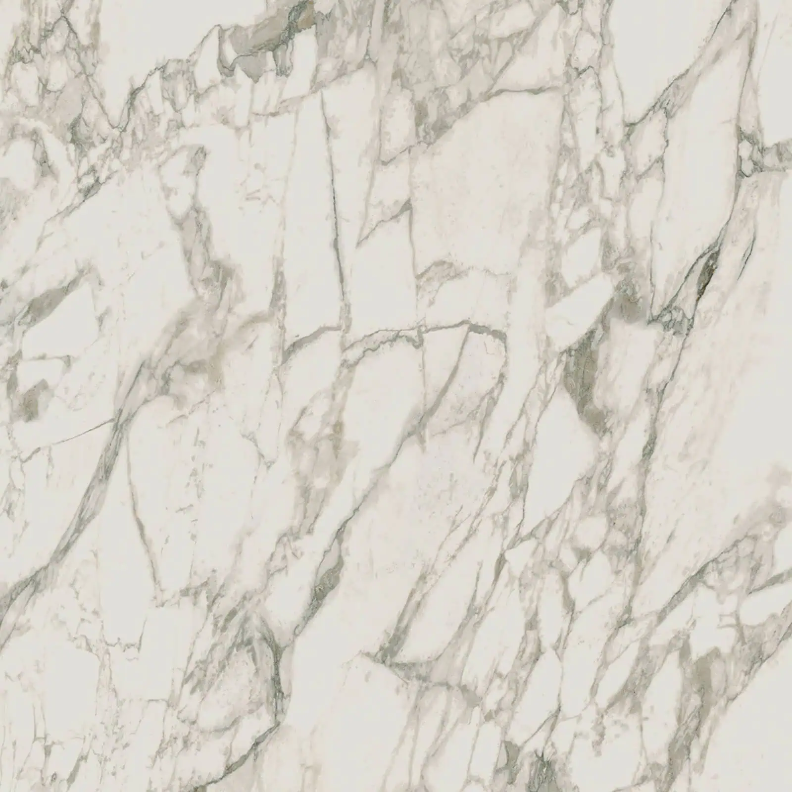Arabescato Vagli Porcelain Swatch