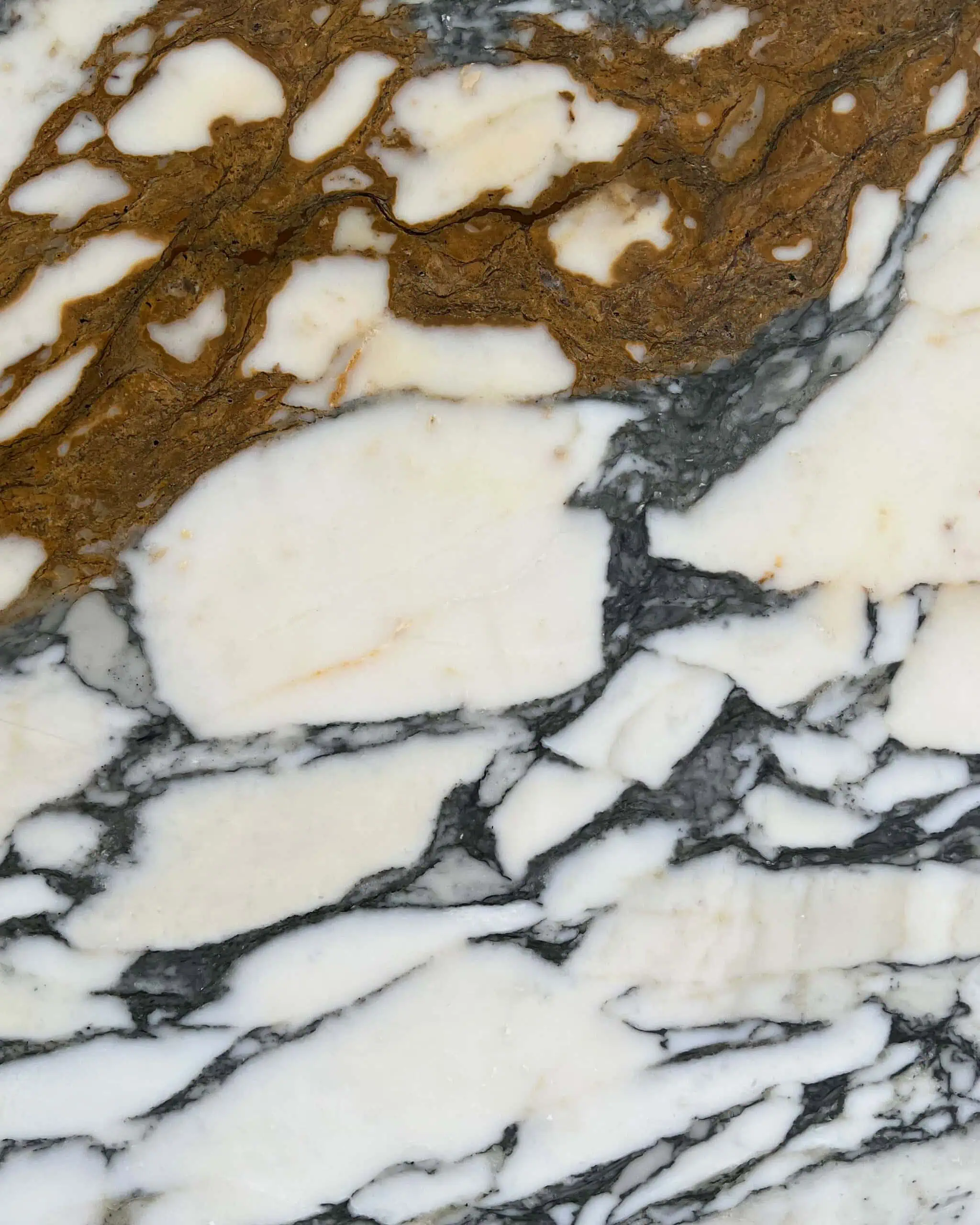 Arabescato Vena Oro Marble Swatch