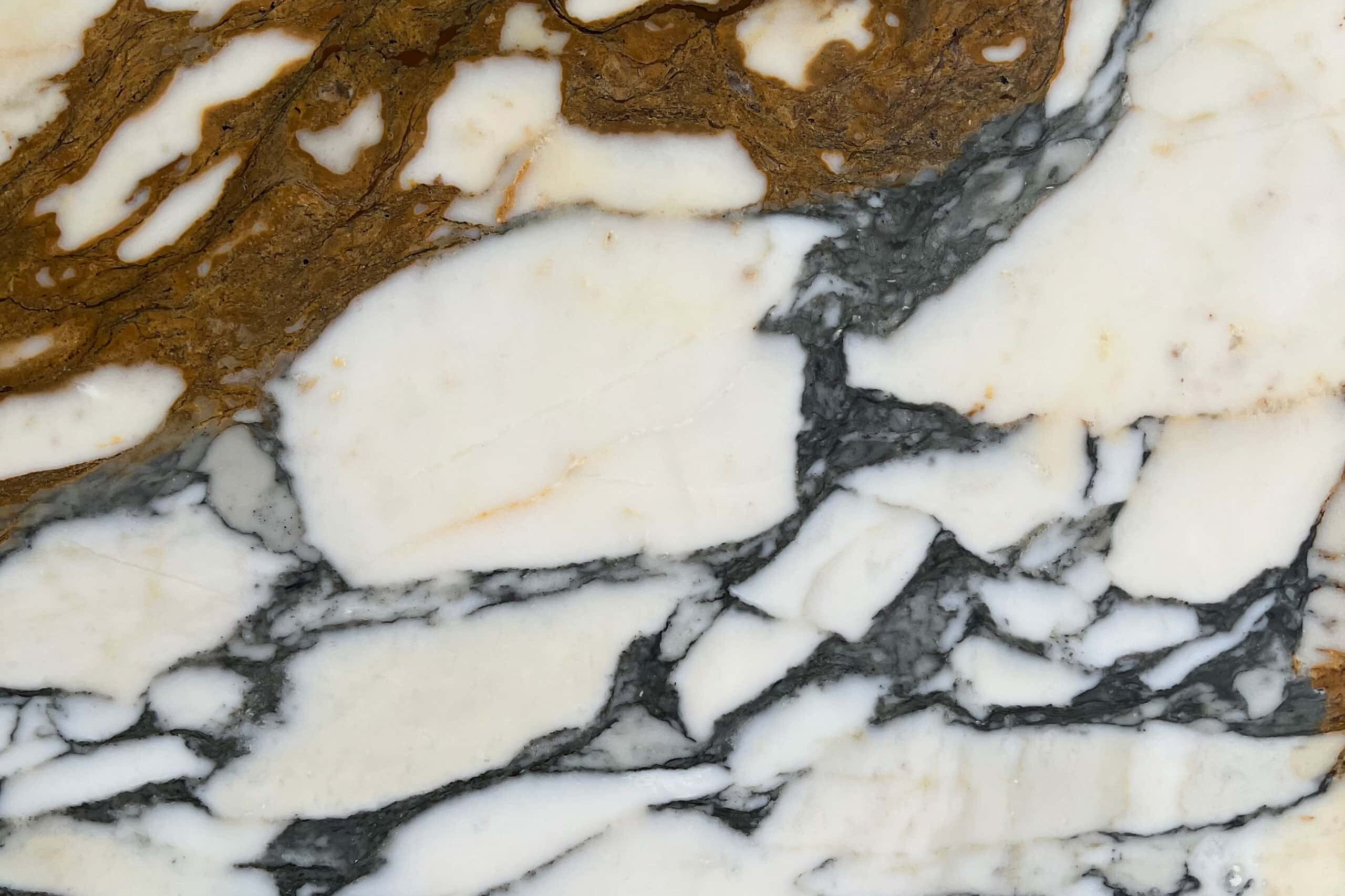 Arabescato Vena Oro Marble Swatch