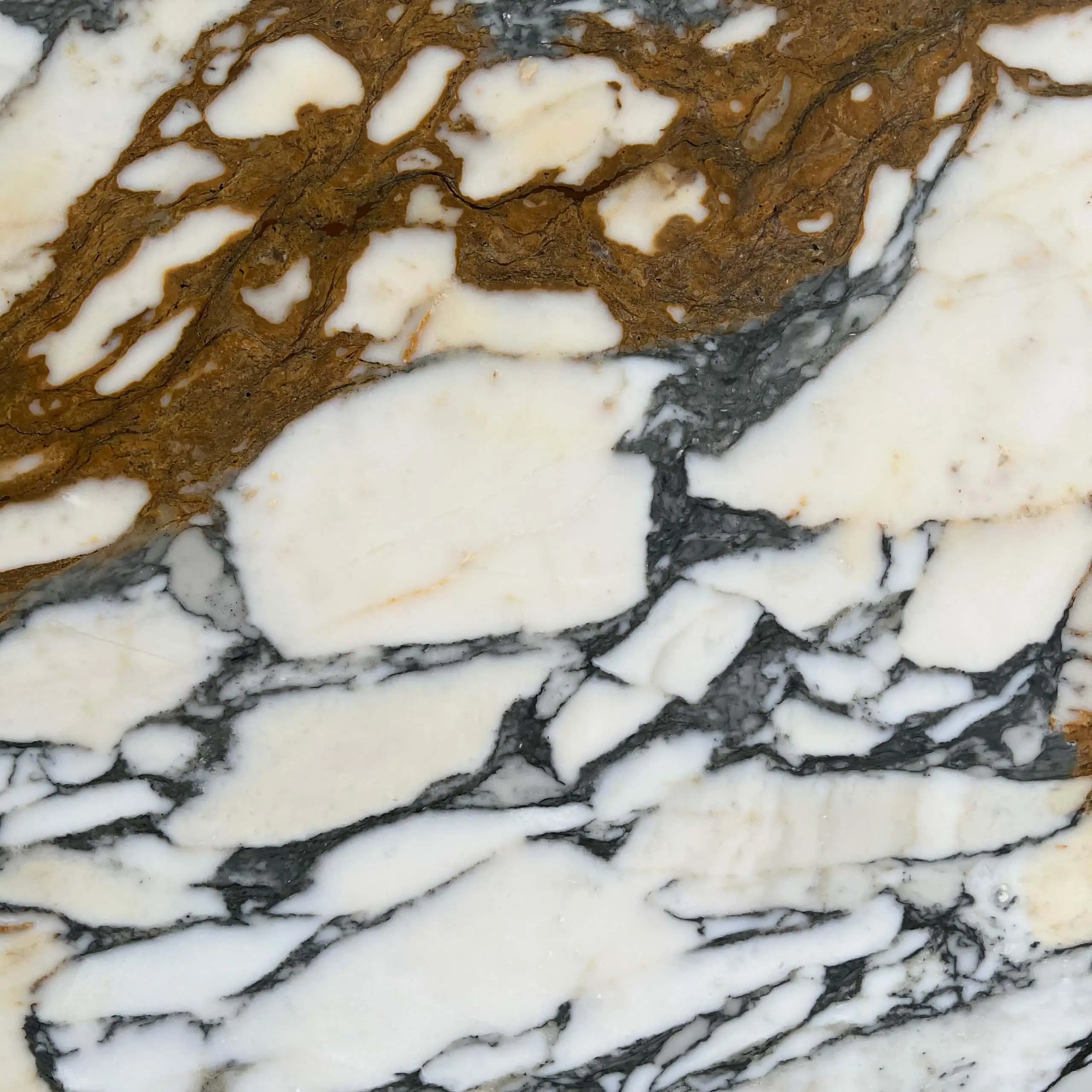 Arabescato Vena Oro Marble Swatch