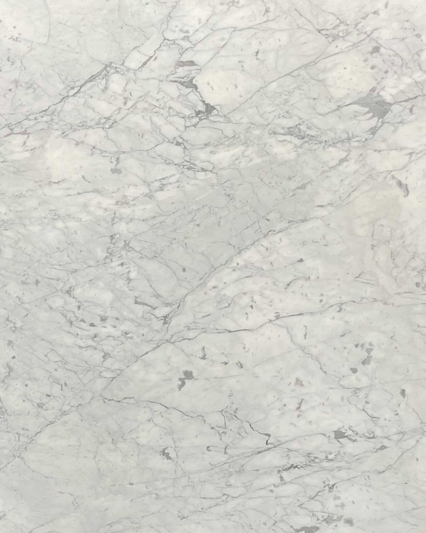 Bianco Carrara Fiorito Marble Swatch