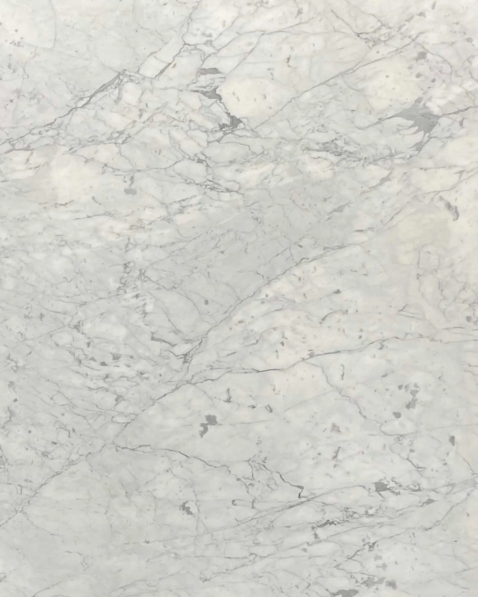 Bianco Carrara Fiorito Marble Swatch