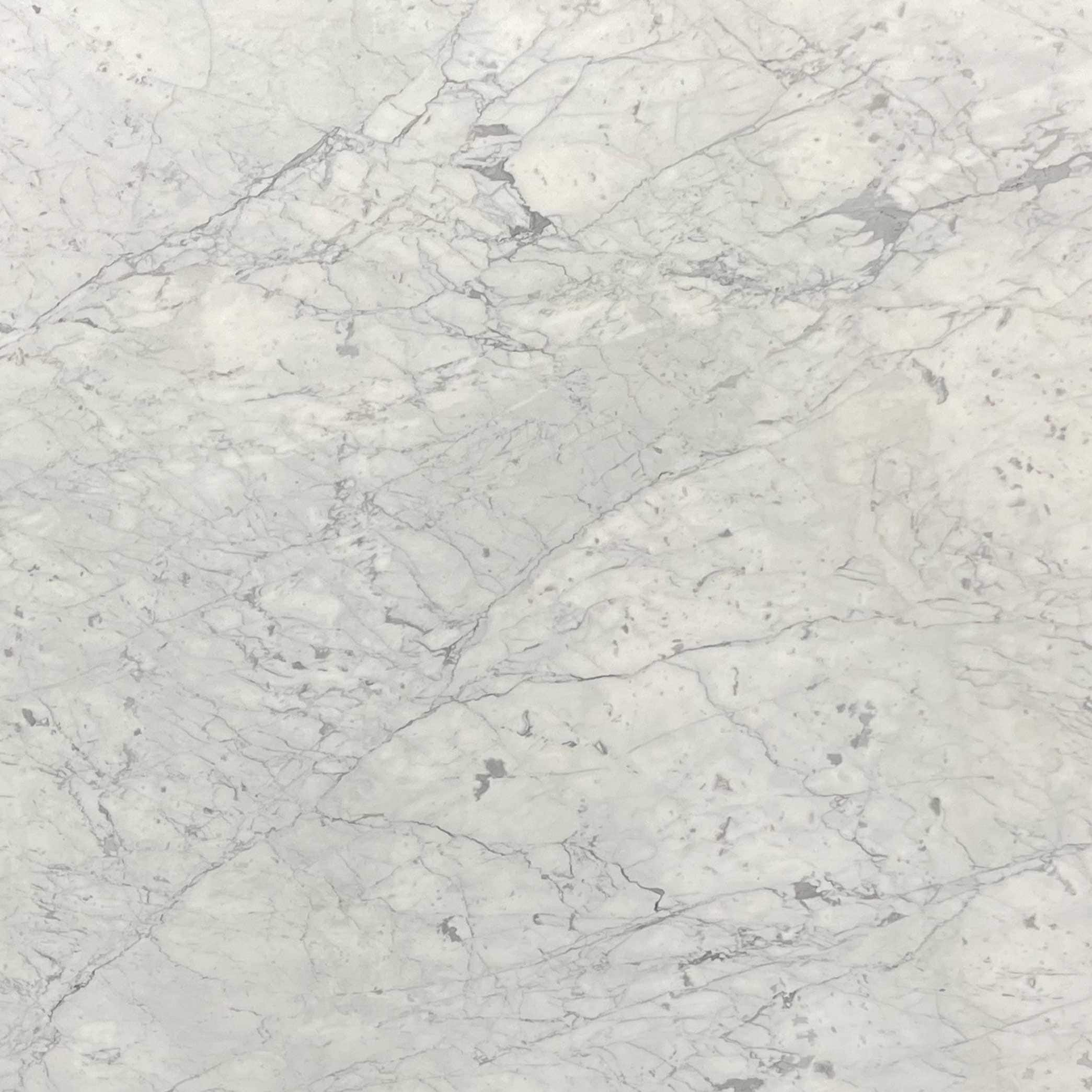 Bianco Carrara Fiorito Marble Swatch