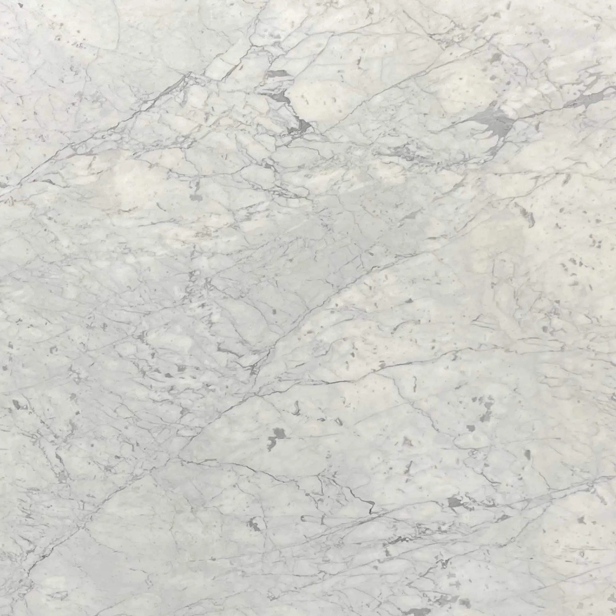 Bianco Carrara Fiorito Marble Swatch