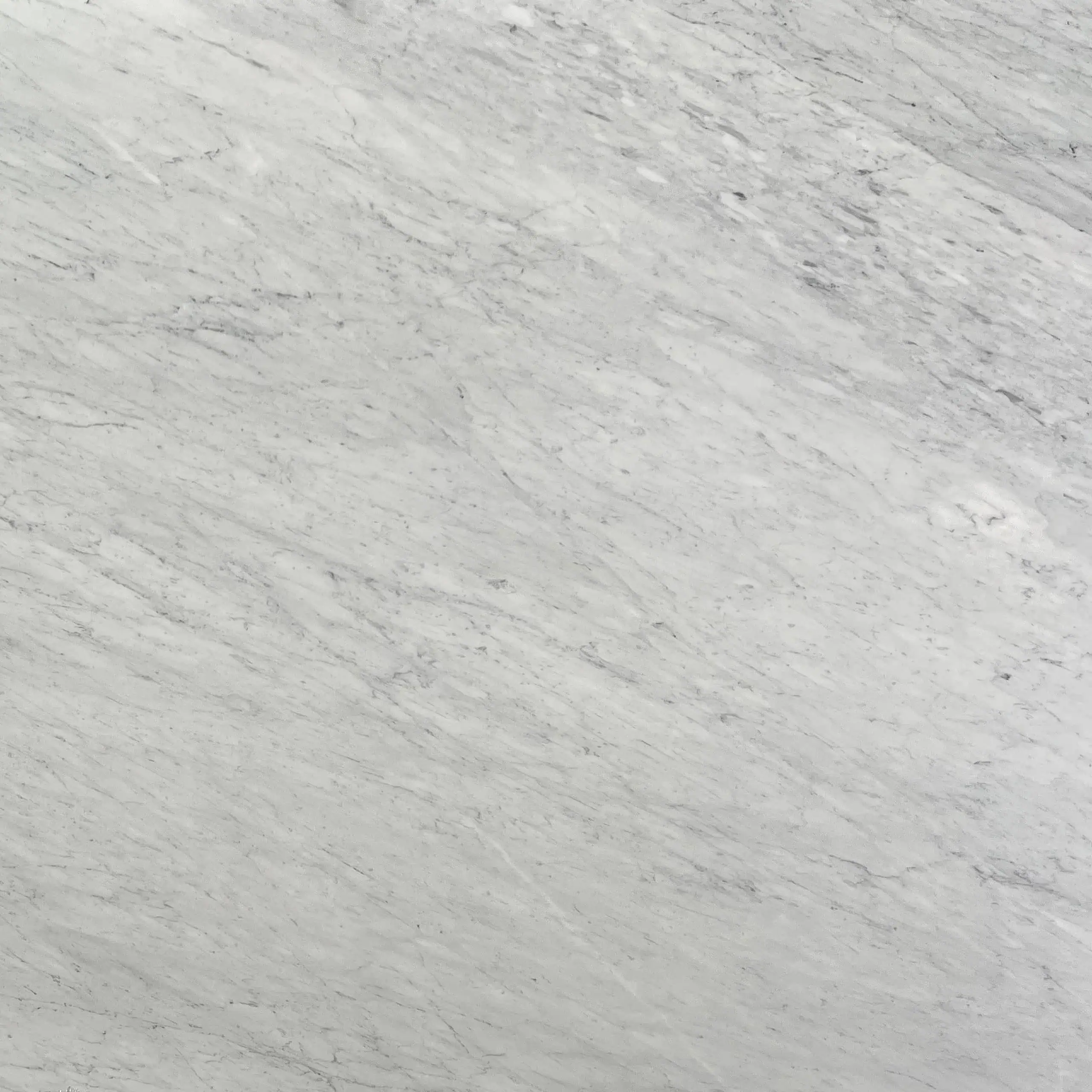 Bianco Carrara Premium Marble Swatch