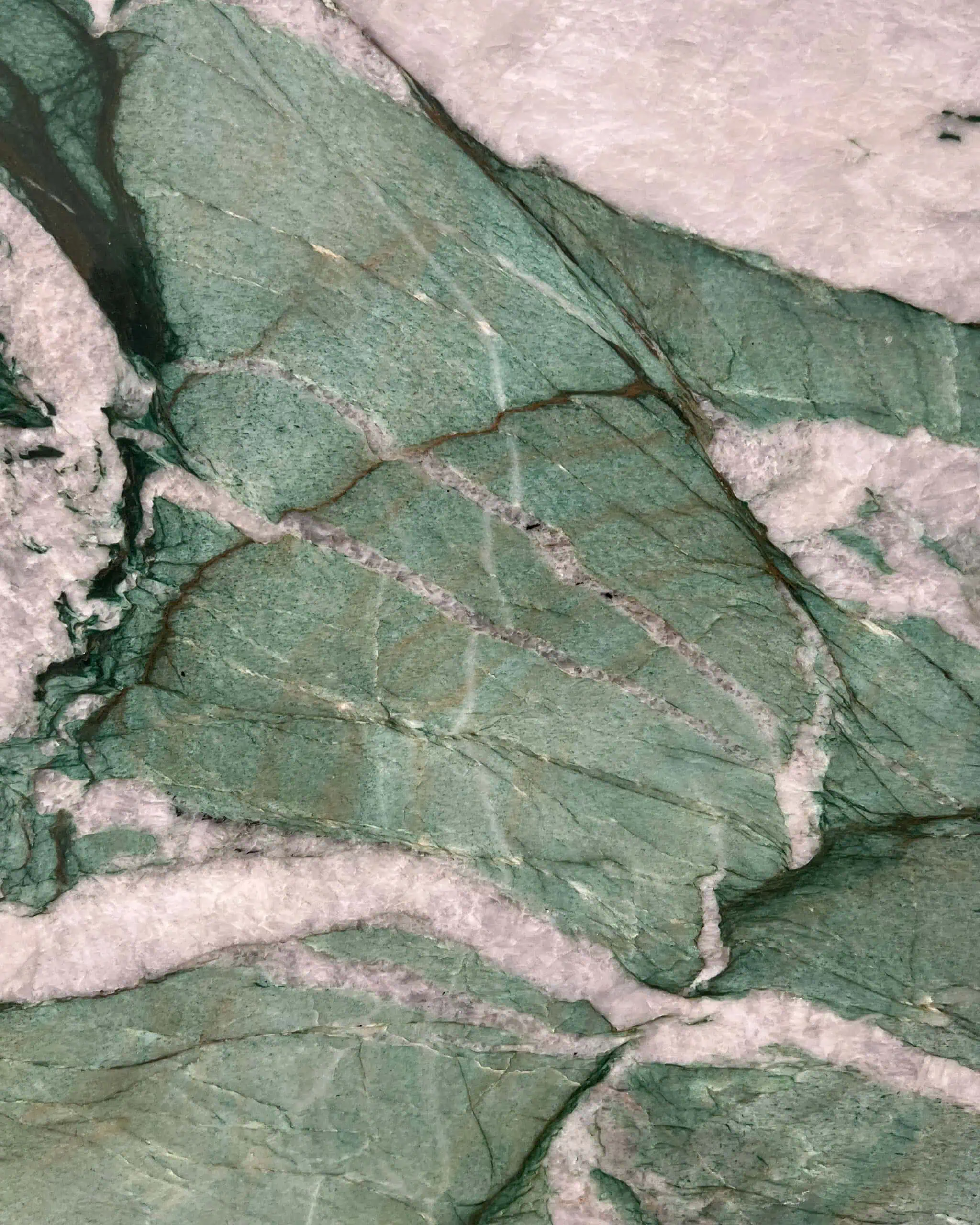 Botanic Green Quartzite Natural Stone