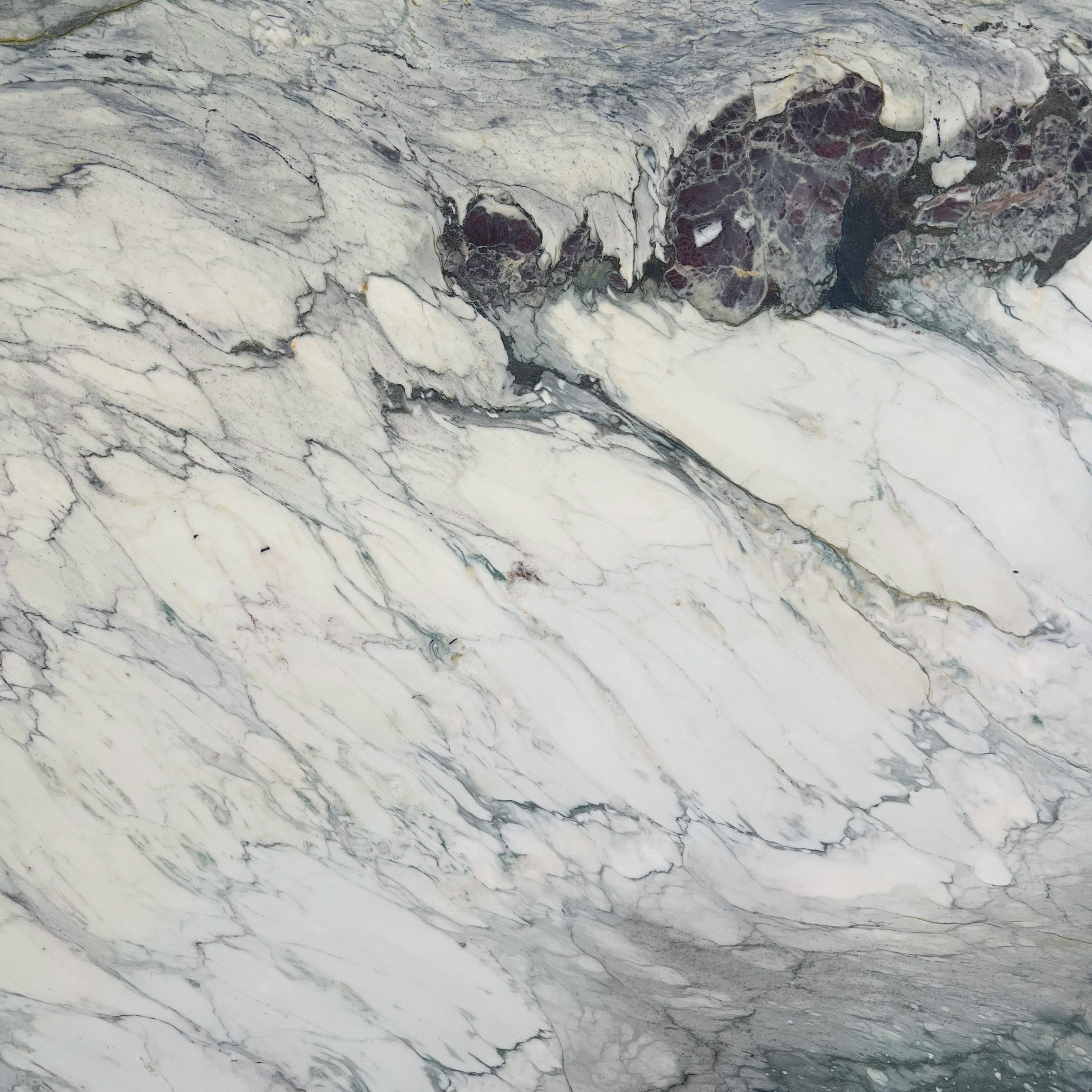 Breccia Capraia Marble Swatch