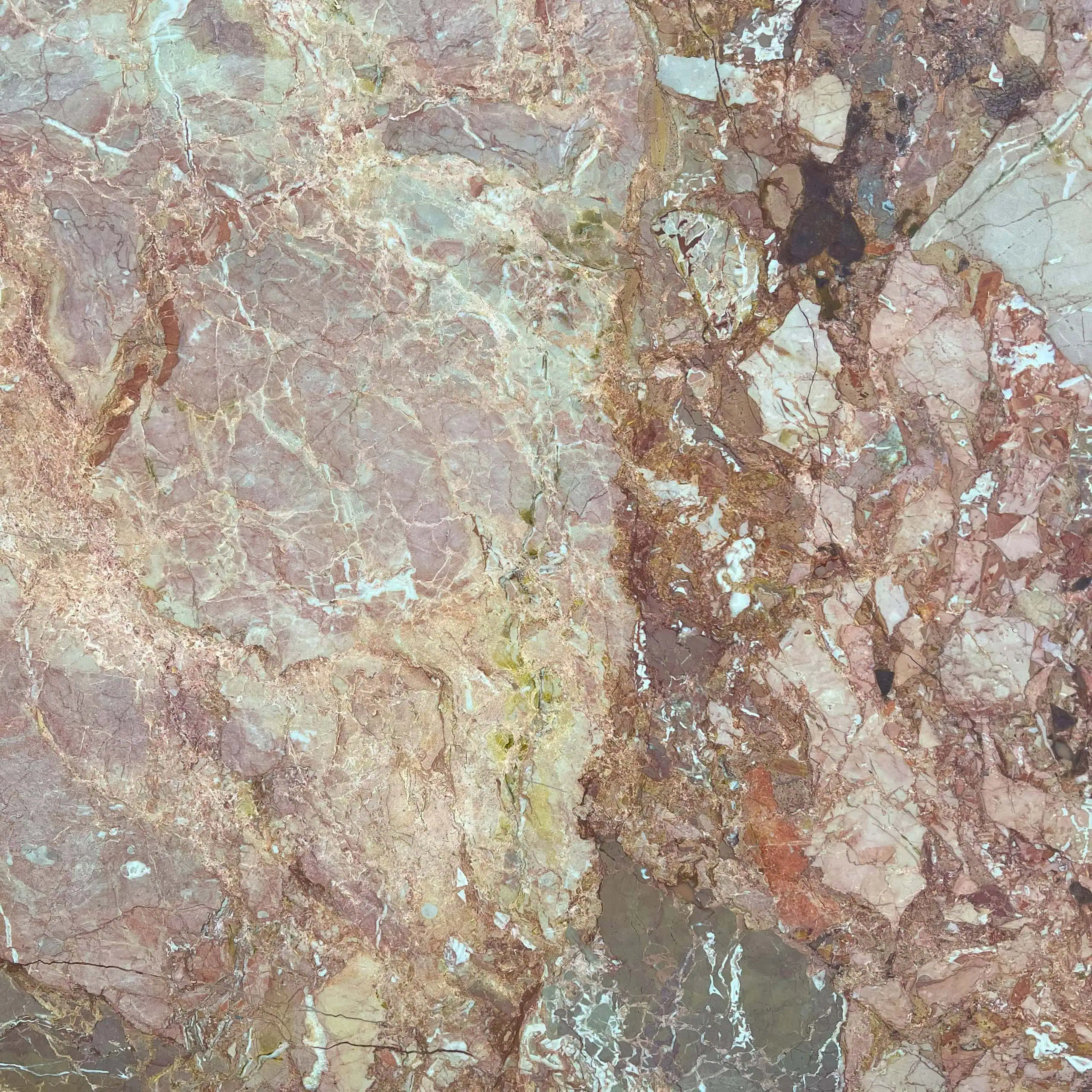 Breccia Pernice Marble Swatch