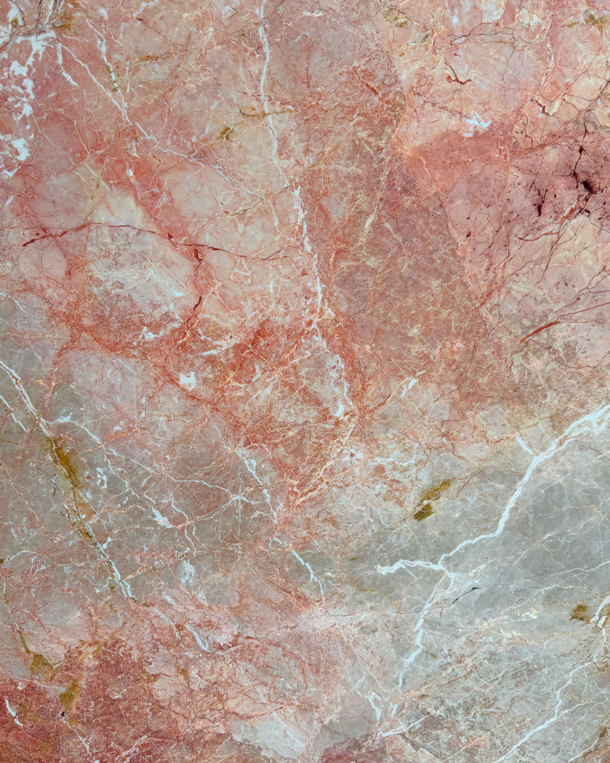 Breccia Pernice Marble Swatch