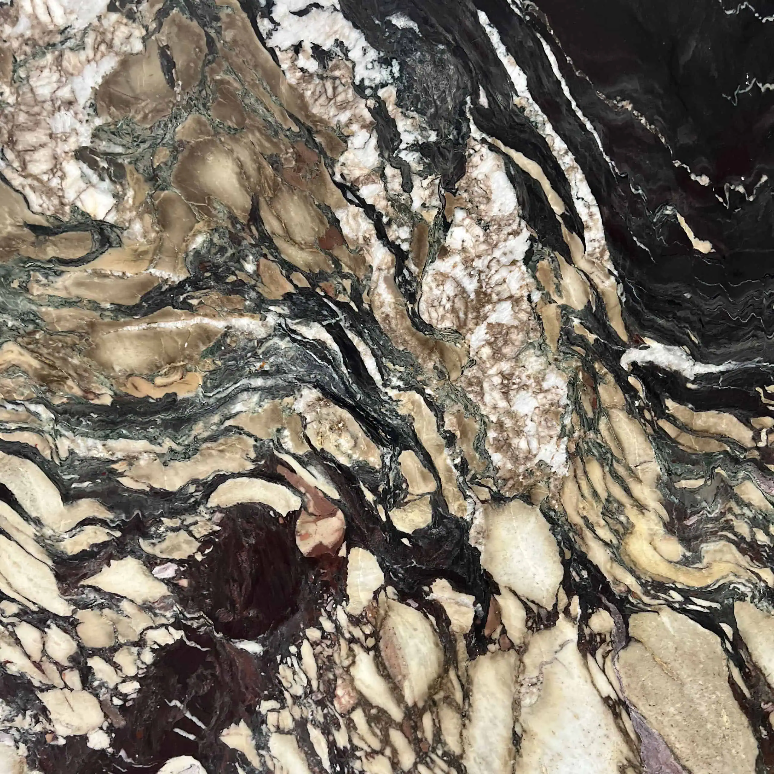 Breccia Viola Marble Swatch