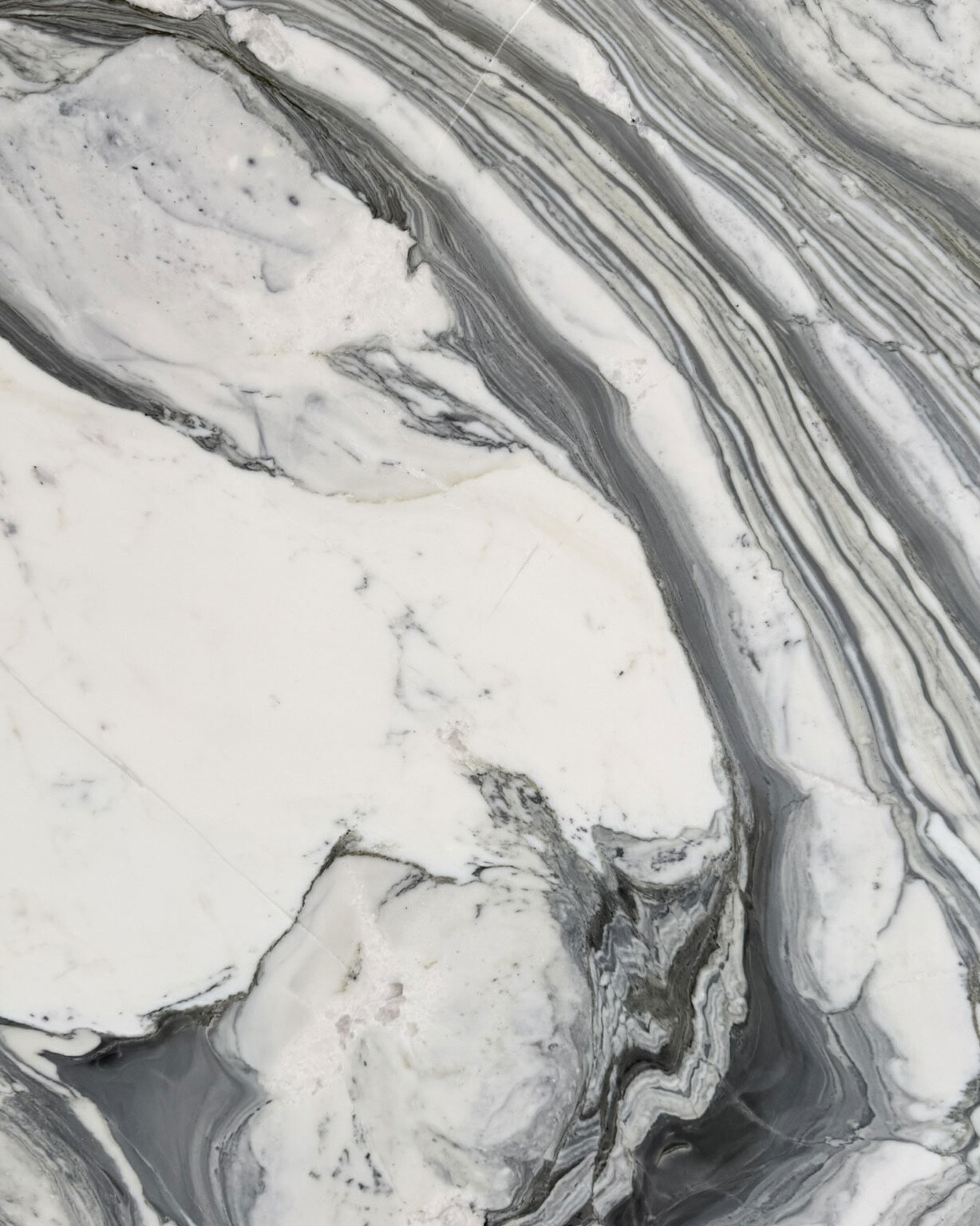 Calacatta Aurelia Marble Swatch