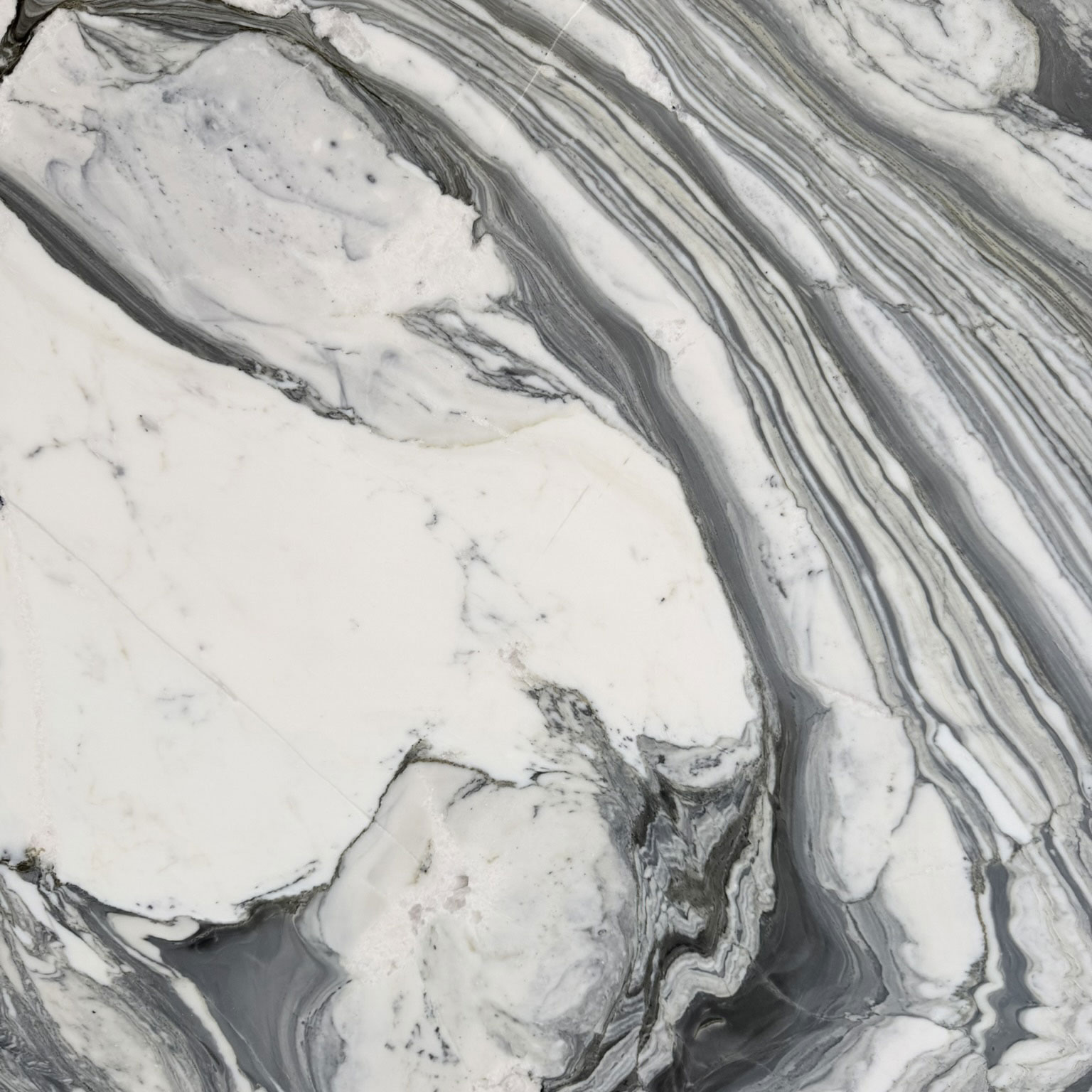 Calacatta Aurelia Marble Swatch