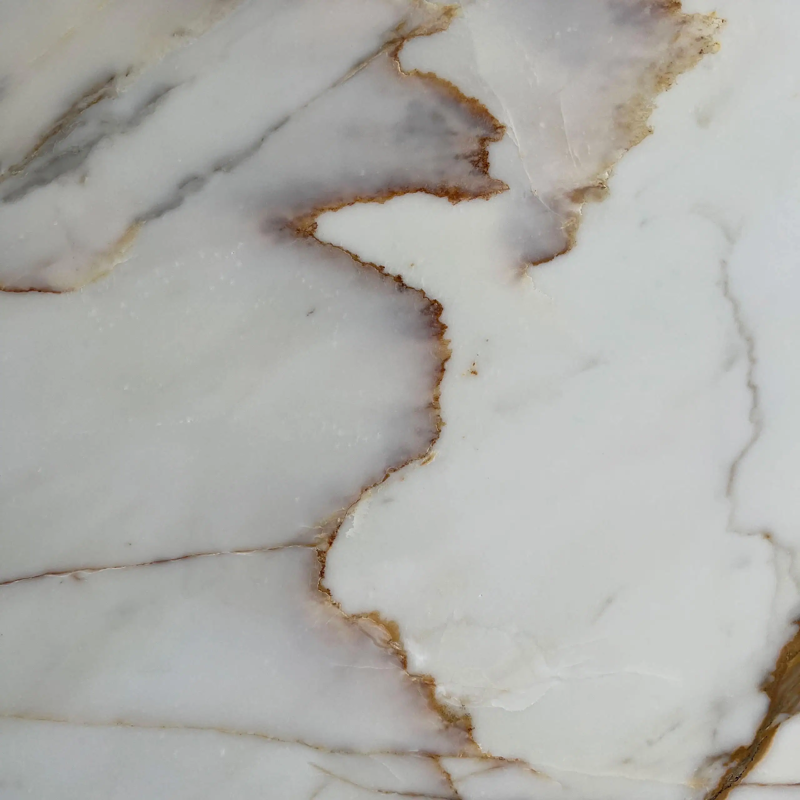 Calacatta Borghini Extra Marble Swatch