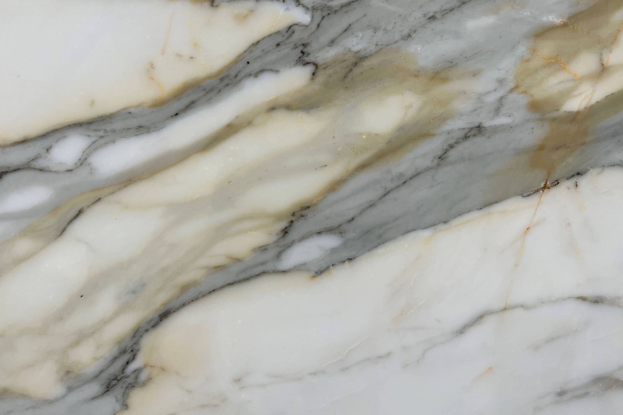 Calacatta Borghini Marble Swatch