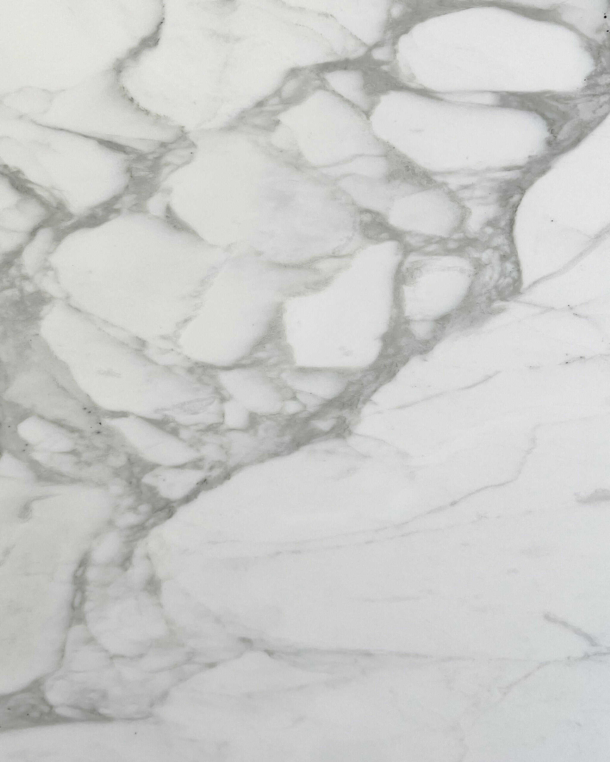 Calacatta Caldia Marble Swatch