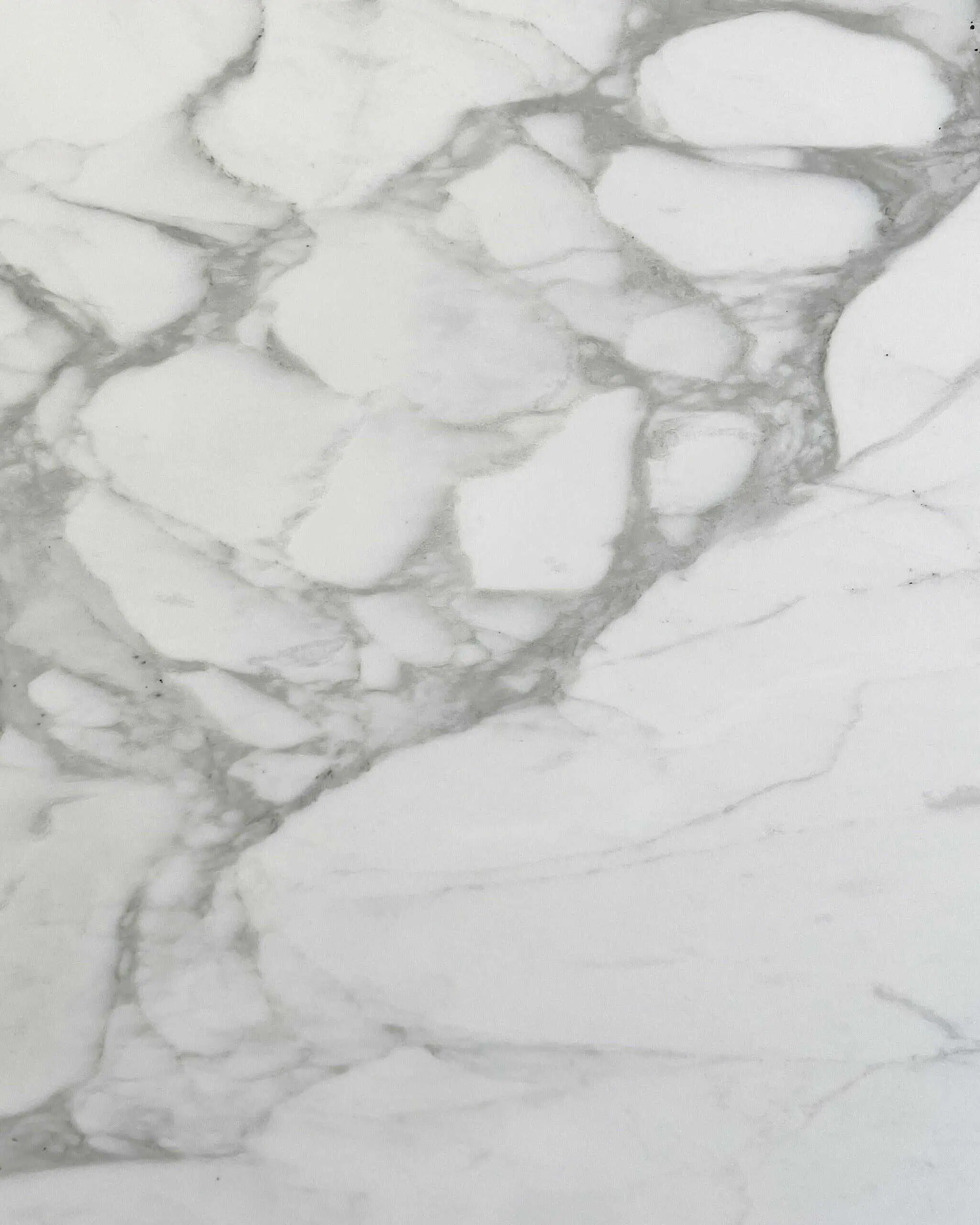 Calacatta Caldia Marble Swatch