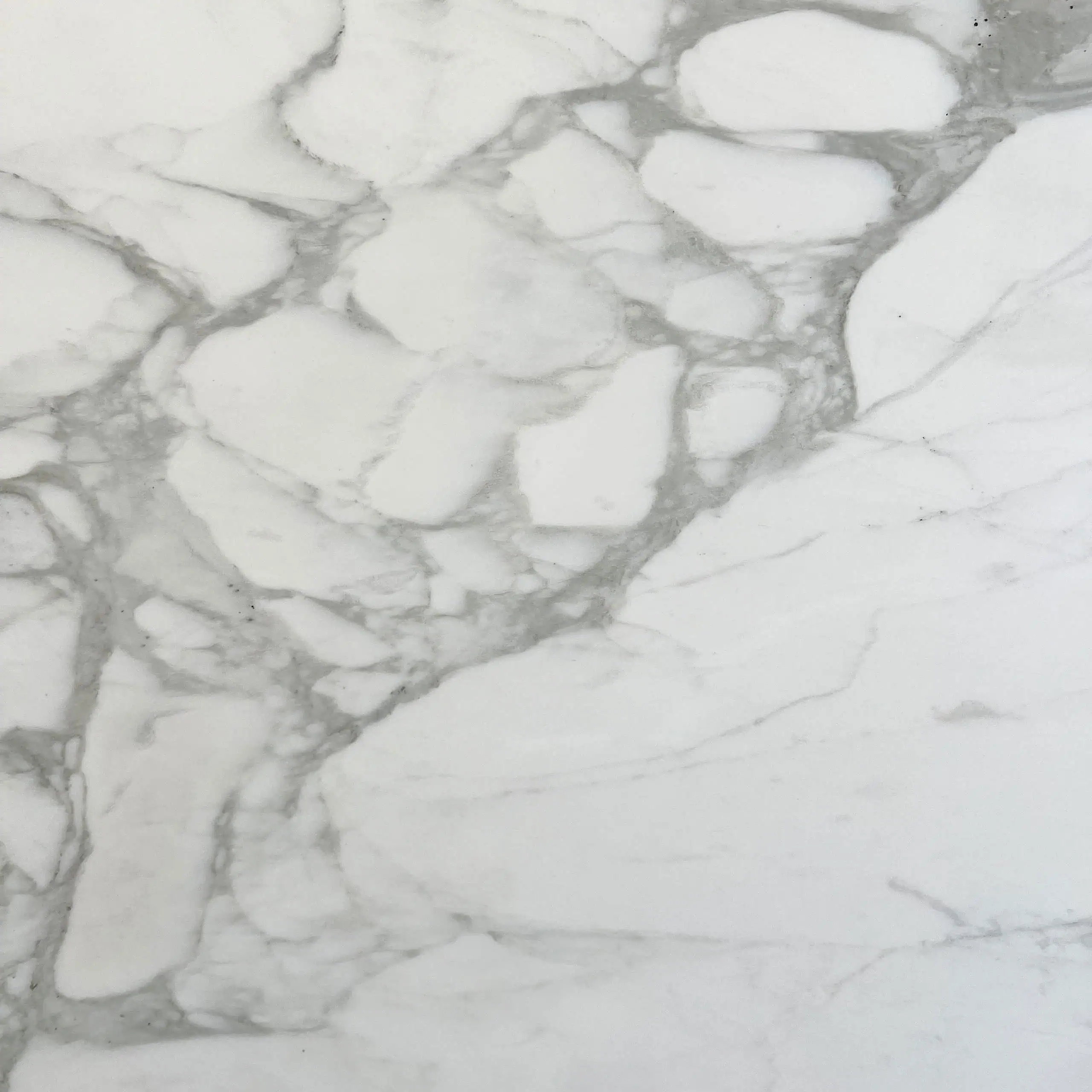 Calacatta Caldia Marble Swatch