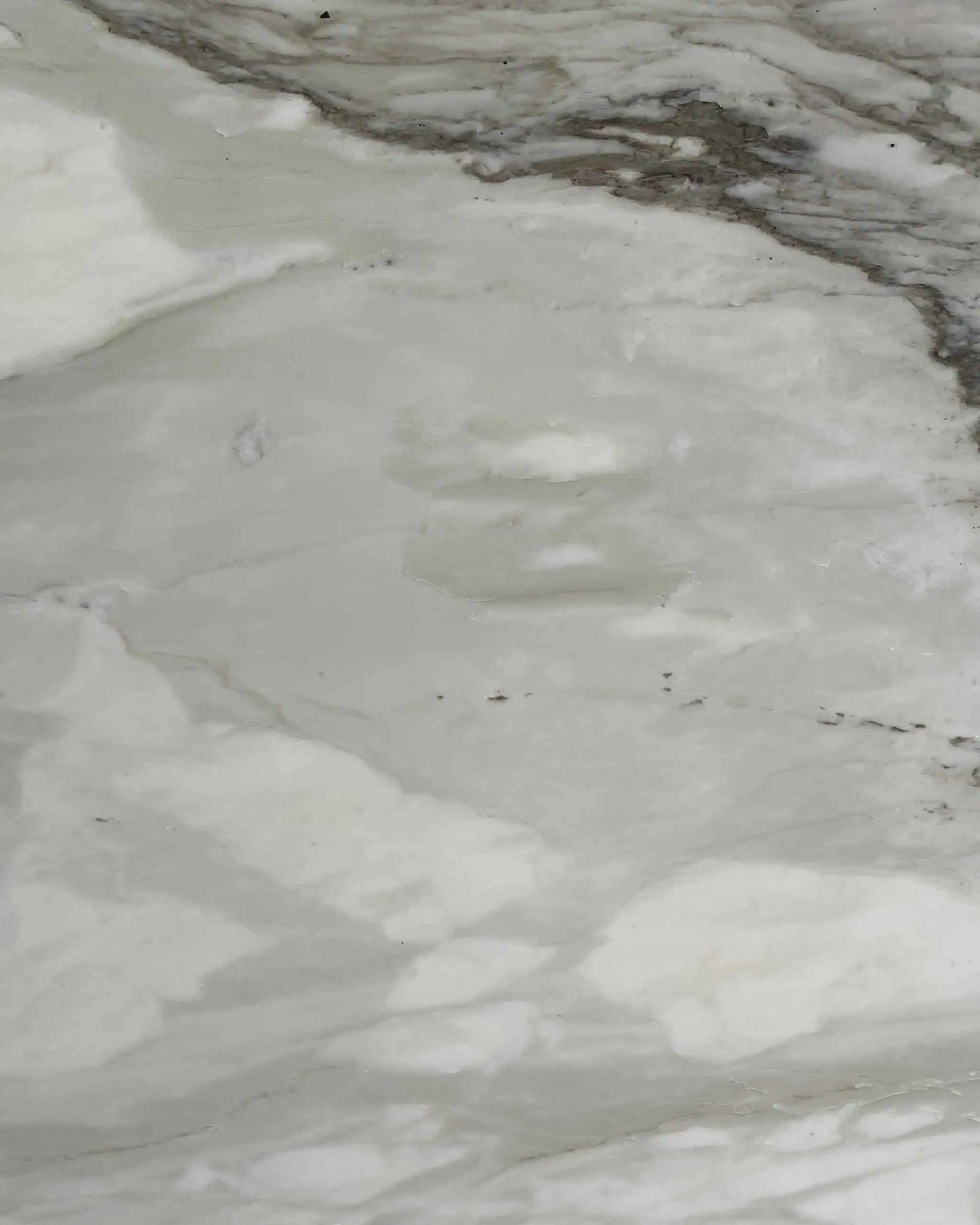 Calacatta Cremo Marble Swatch