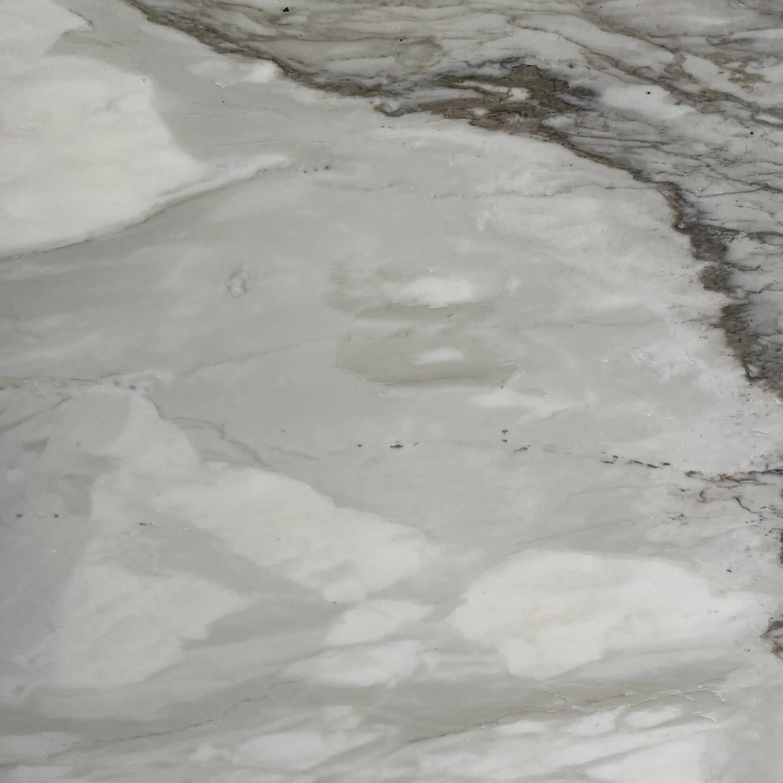 Calacatta Cremo Marble Swatch