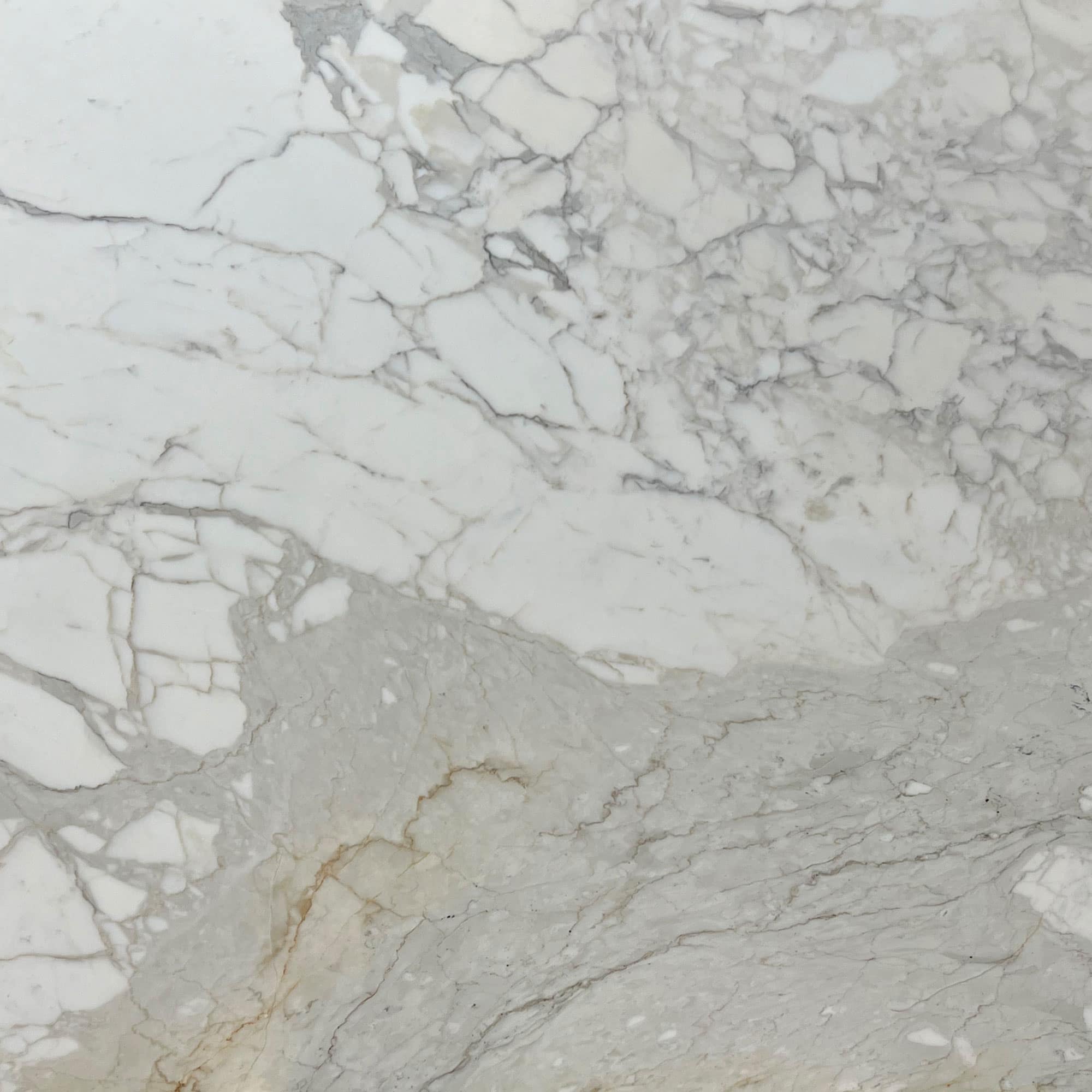 Calacatta Gold Marble Swatch