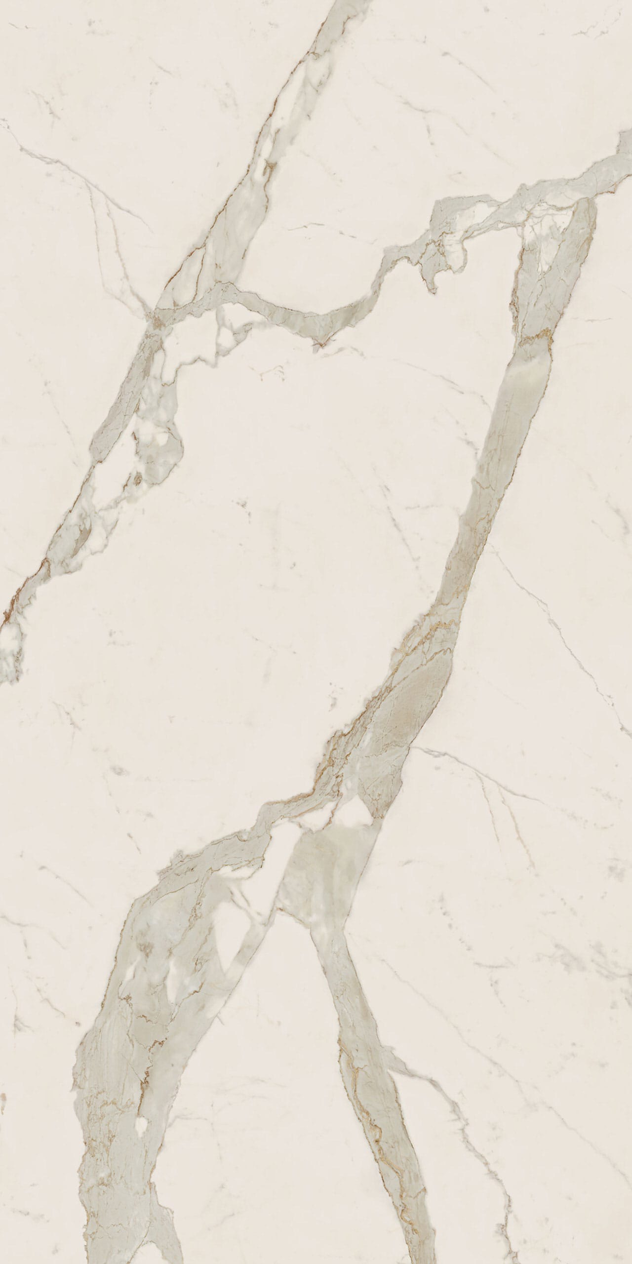 Calacatta Gold Porcelain Swatch