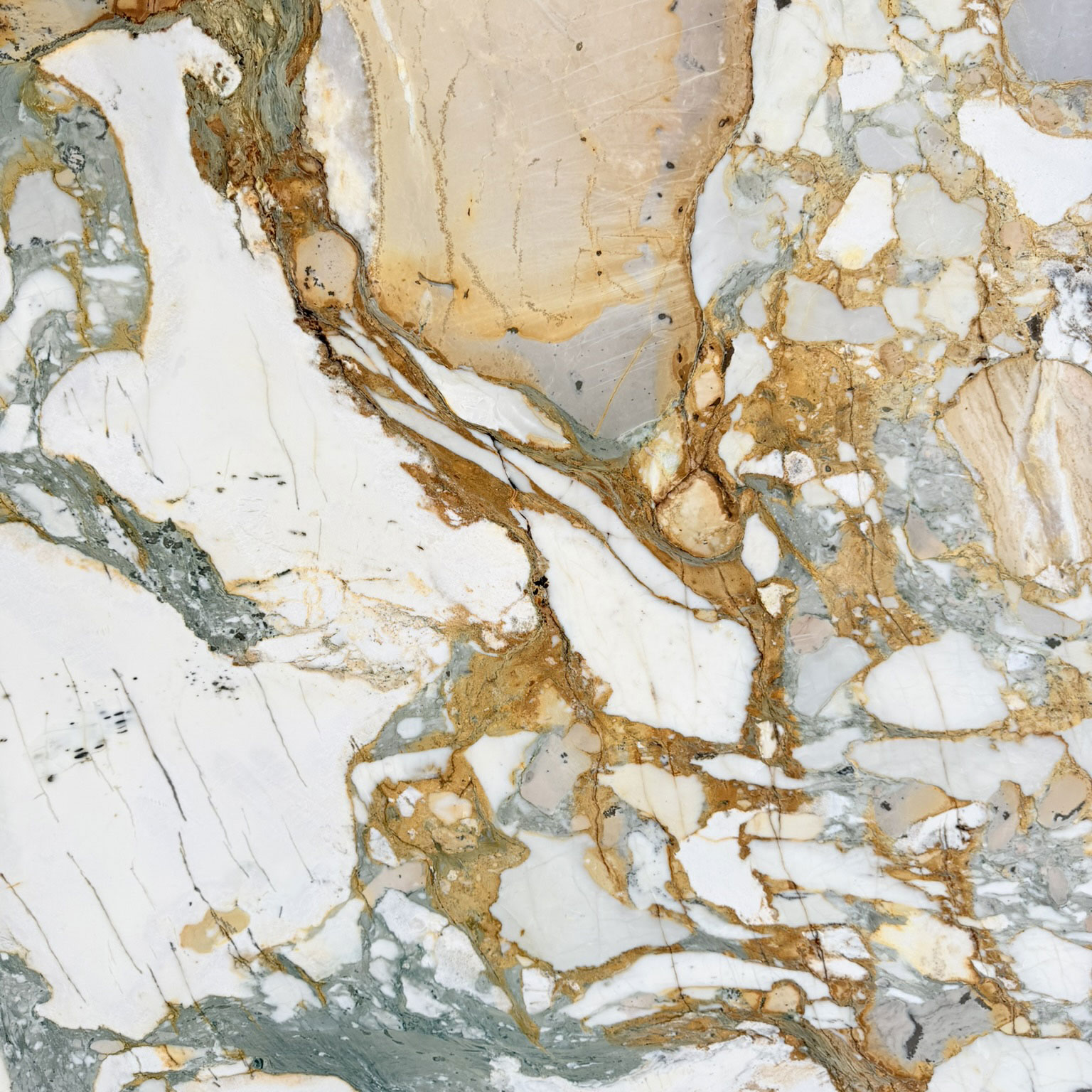 Calacatta Leonardo Marble Swatch