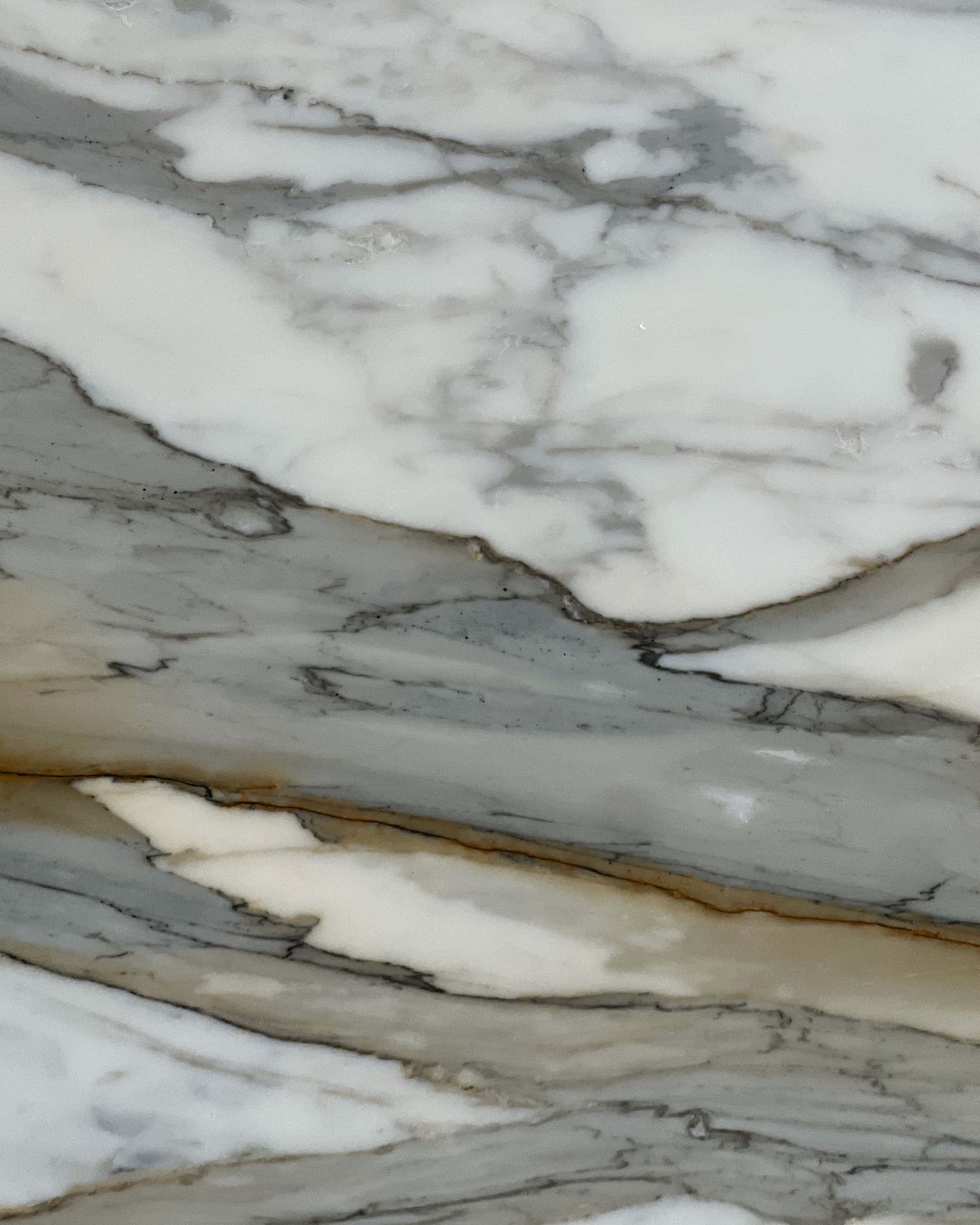 Calacatta Machia Vecchia Marble Swatch
