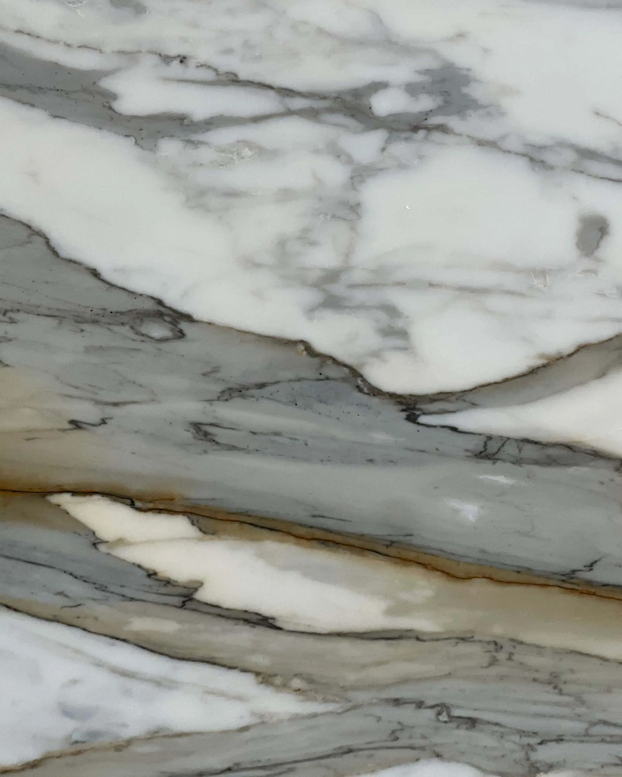 Calacatta Machia Vecchia Marble Swatch