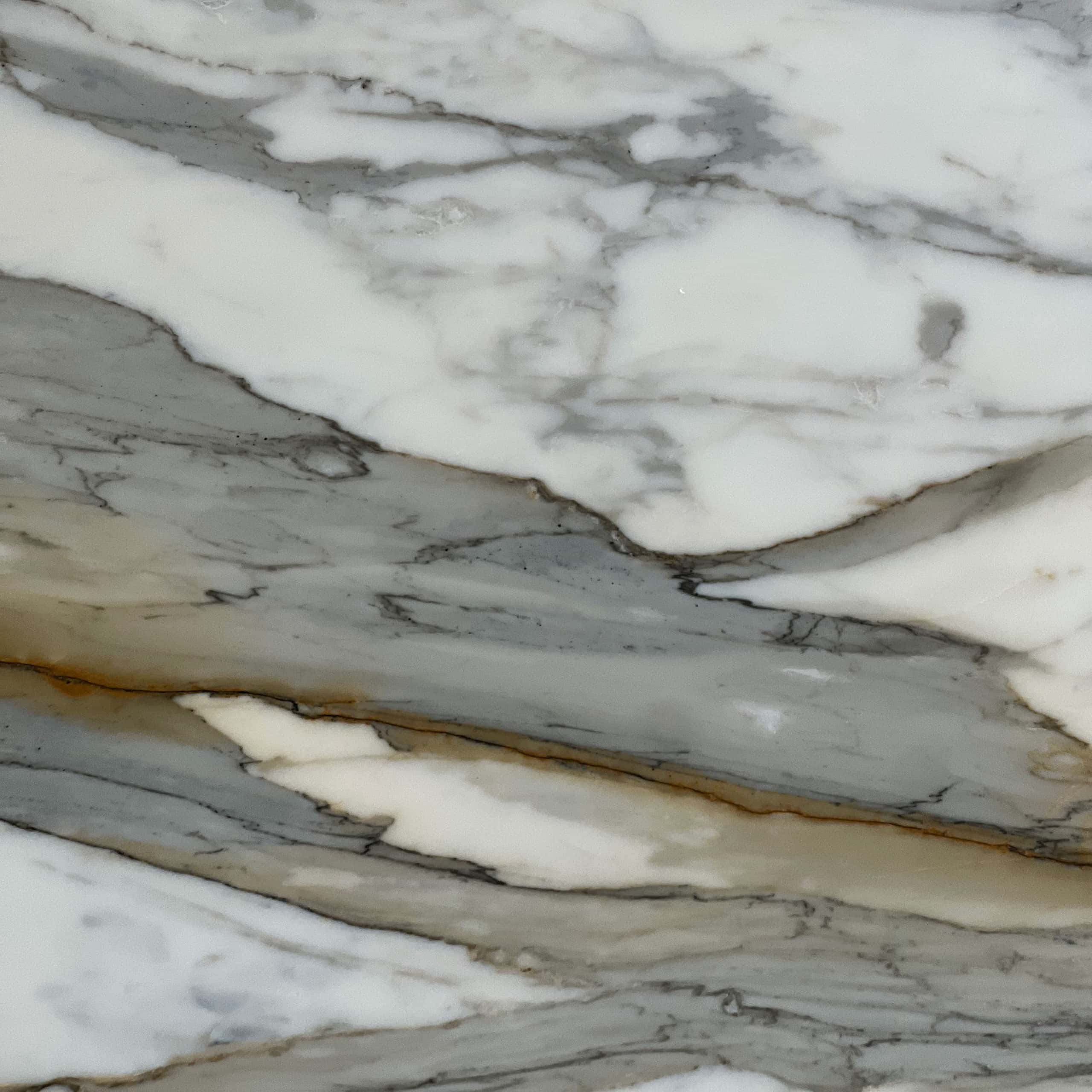 Calacatta Machia Vecchia Marble Slab