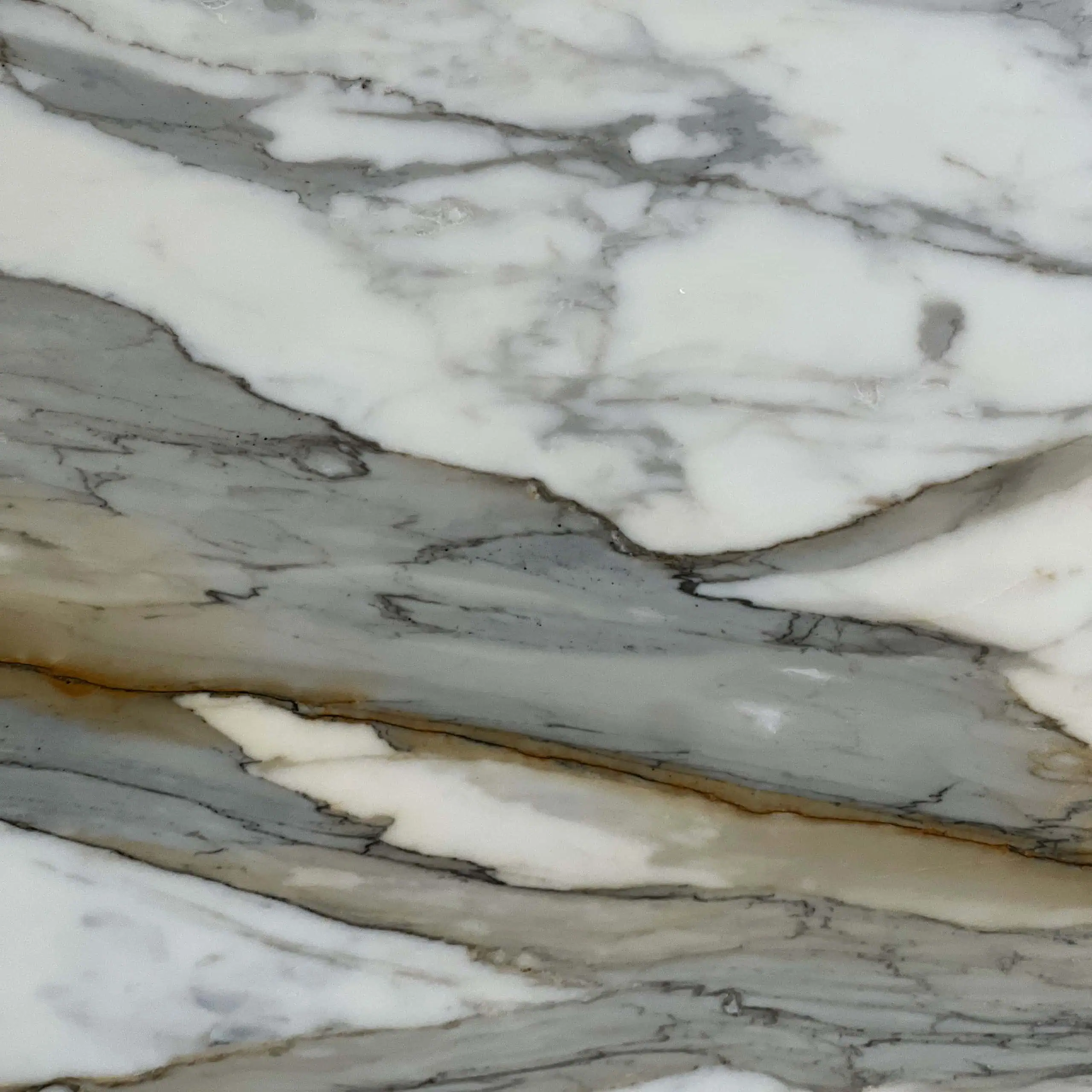 Calacatta Machia Vecchia Marble Swatch
