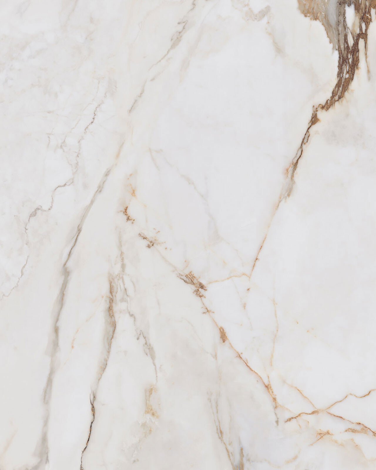 Calacatta Machia Vecchia Porcelain Swatch