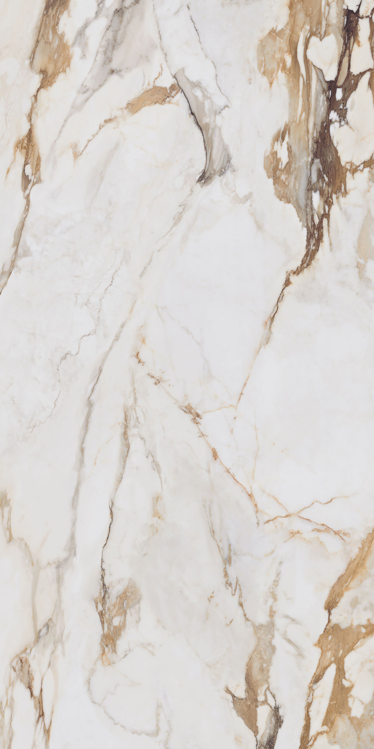 Calacatta Machia Vecchia Porcelain Swatch