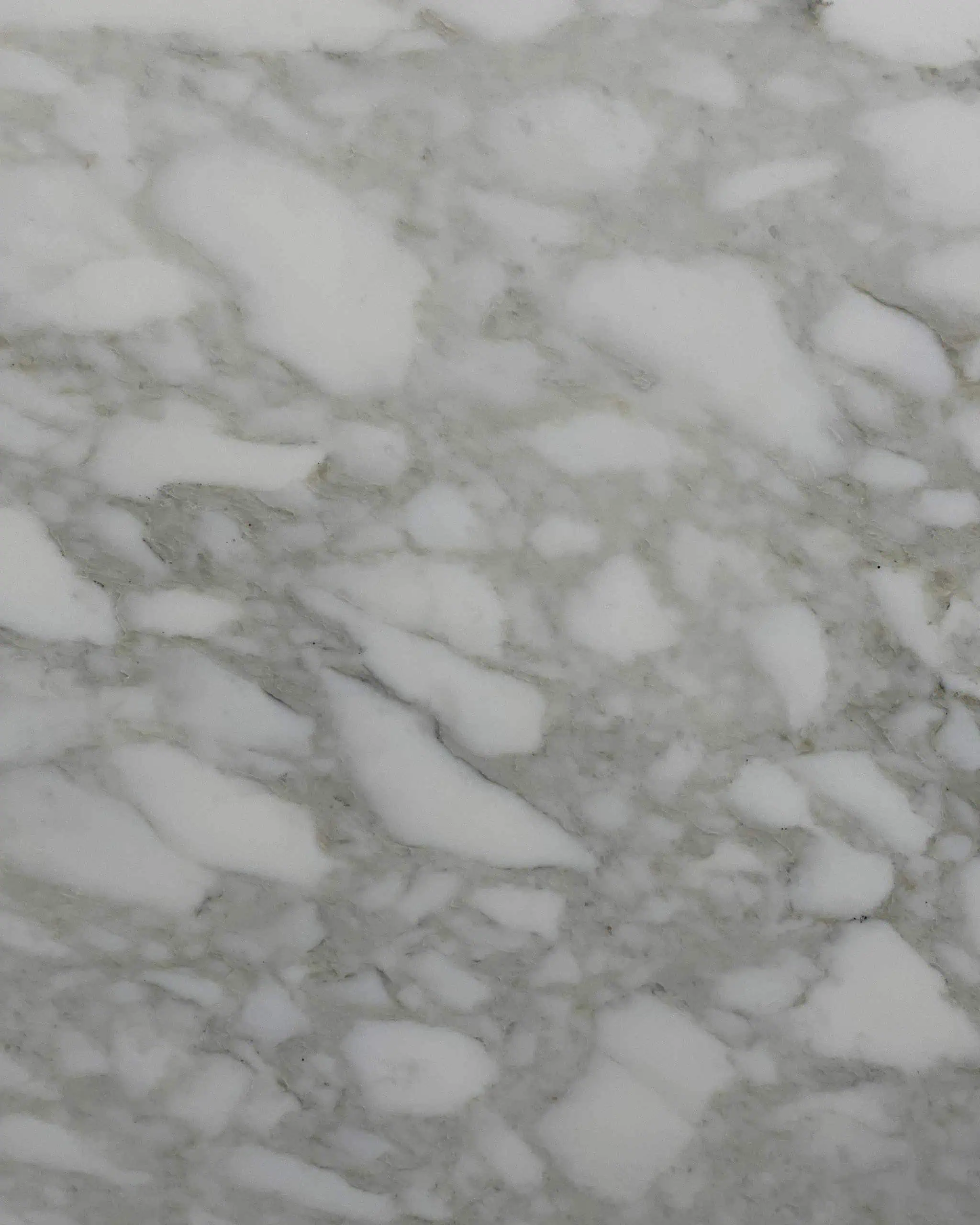 Calacatta Mezza Machia C Marble Swatch