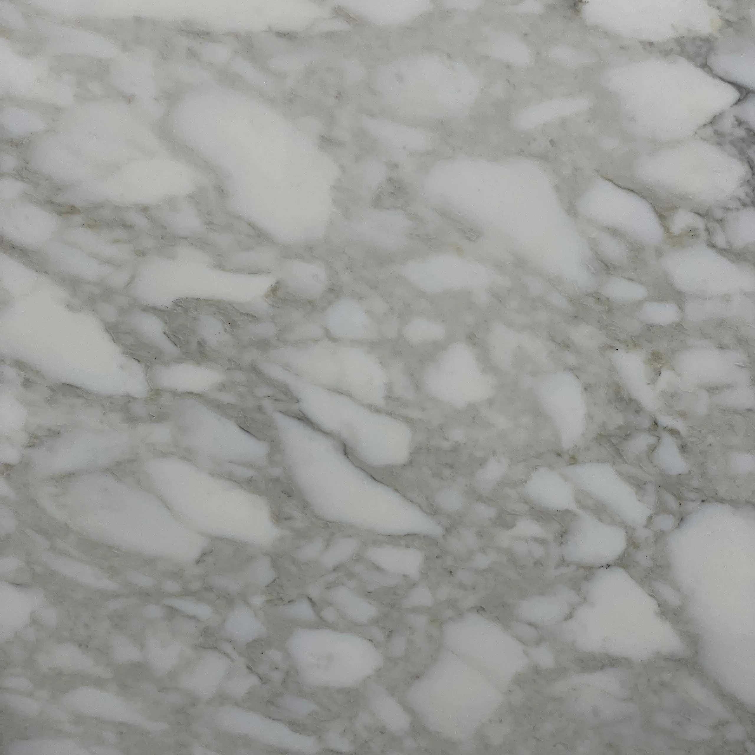 Calacatta Mezza Machia C Marble Swatch