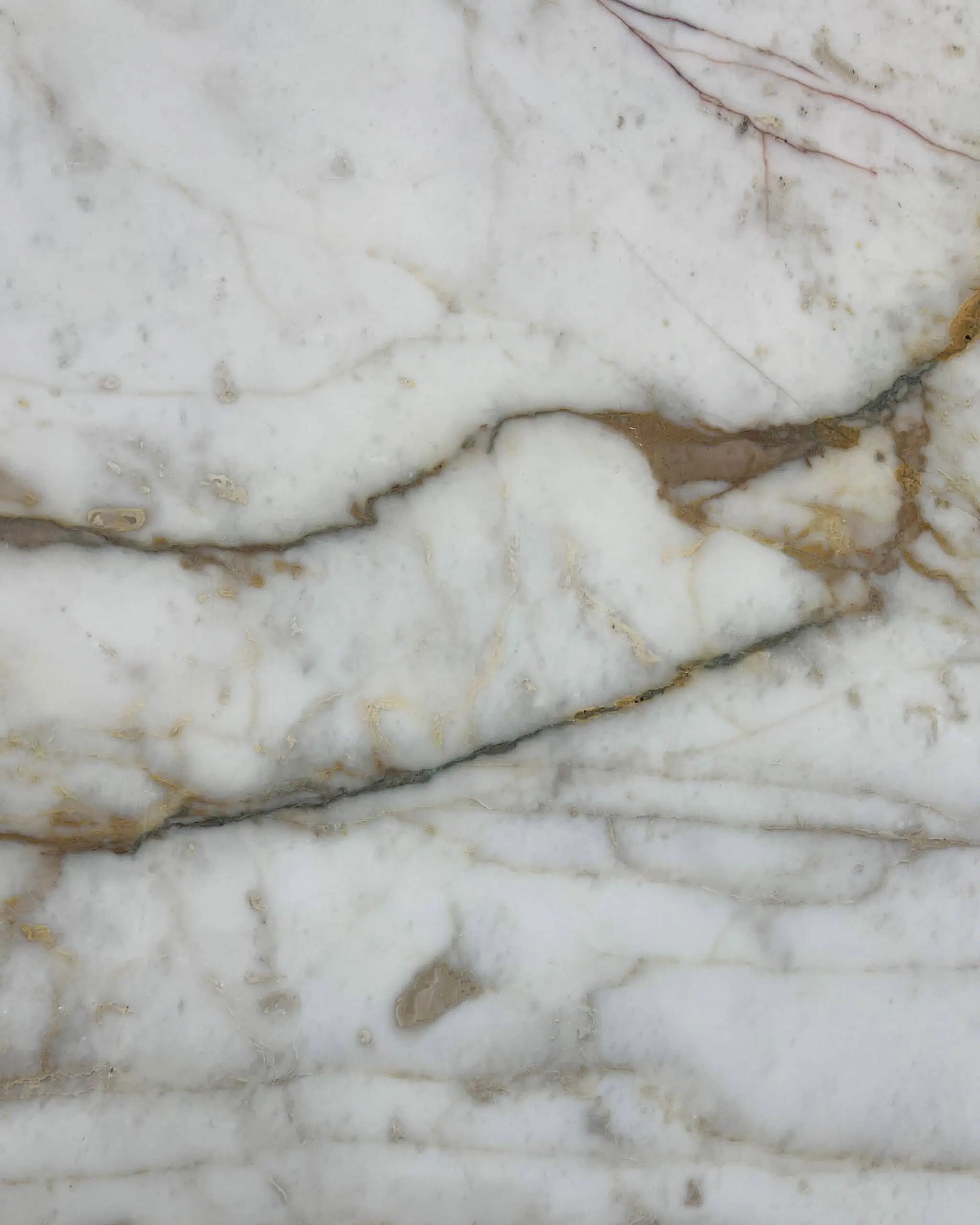 Calacatta Mezza Machia Oro Marble Swatch