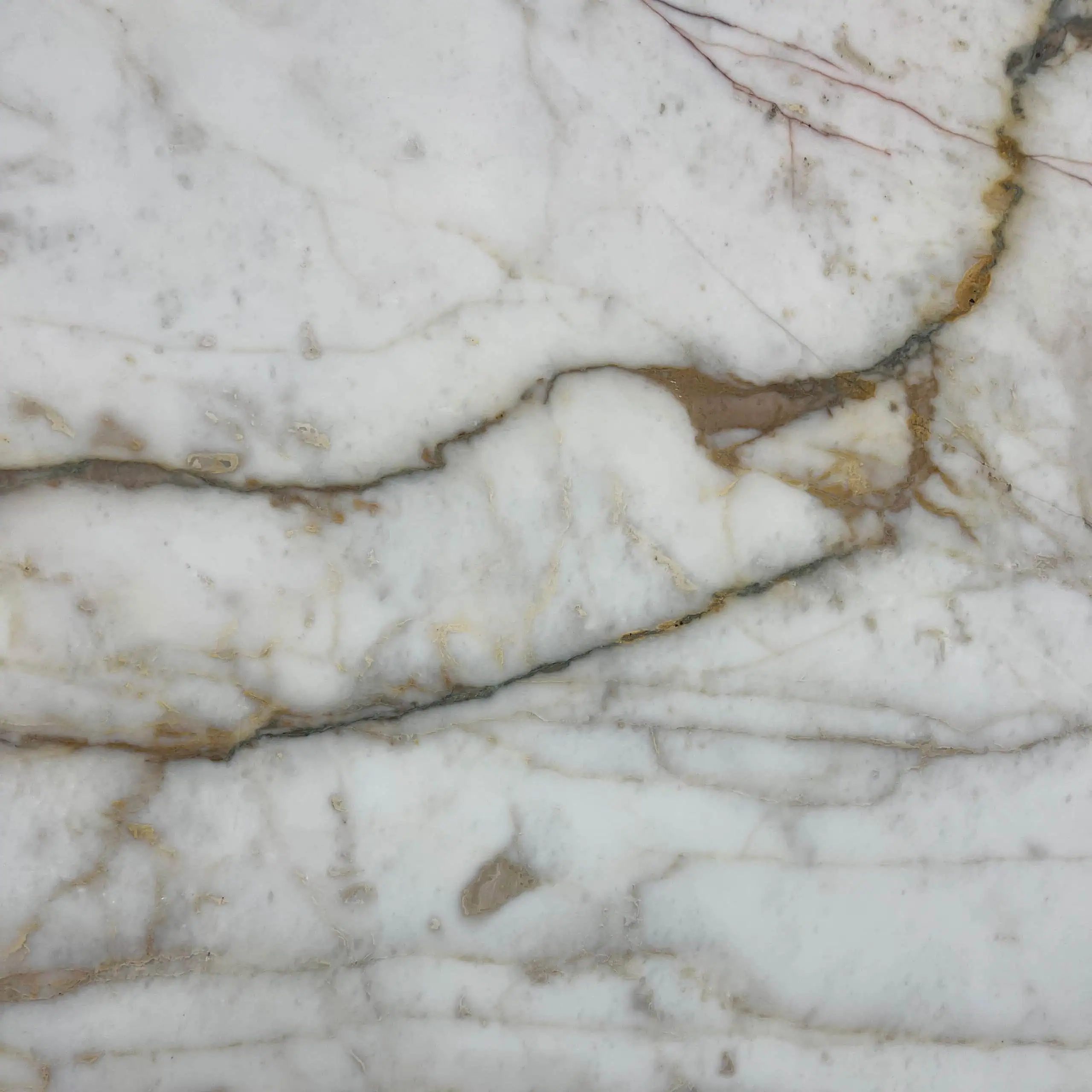 Calacatta Mezza Machia Oro Marble Swatch