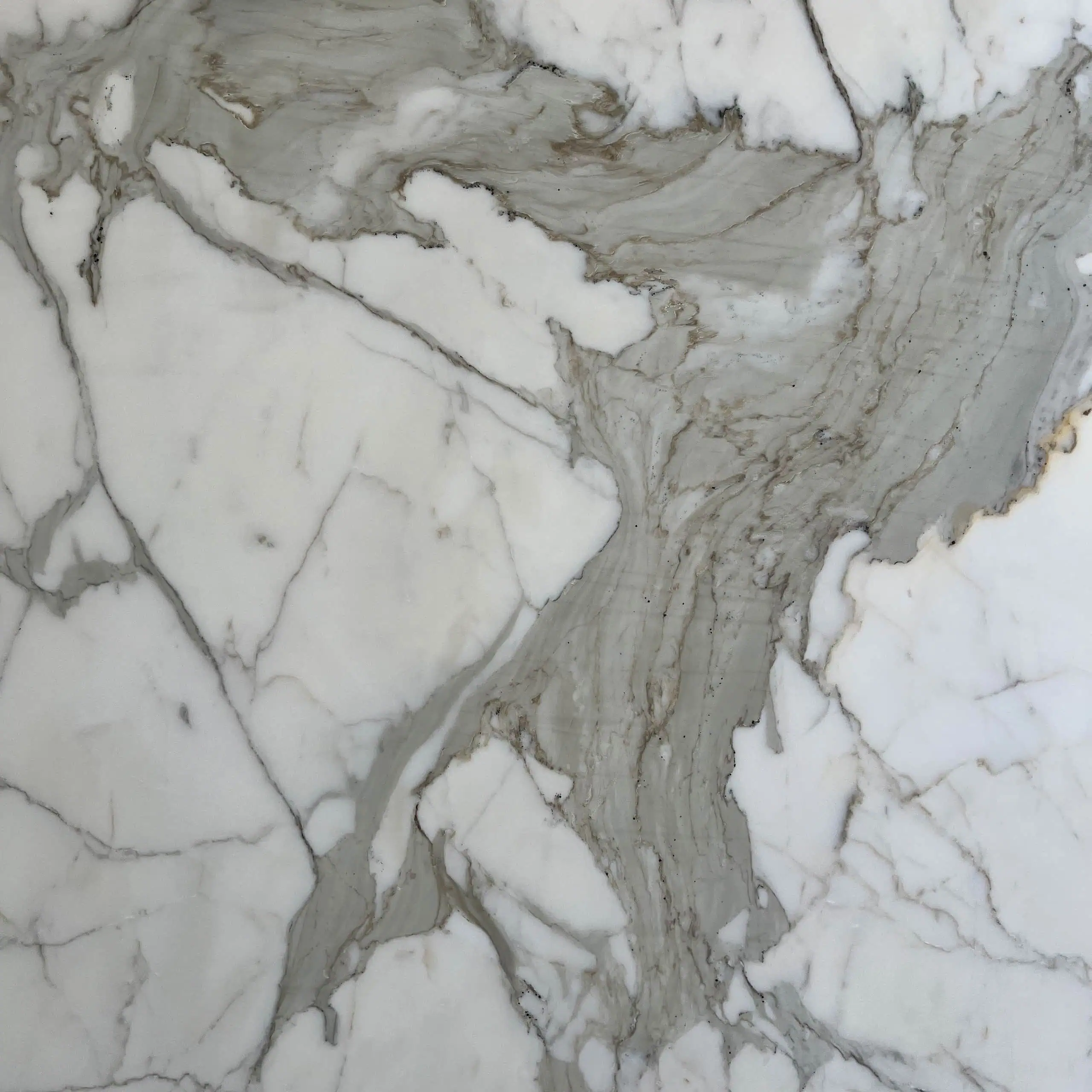 Calacatta Oro Marble Swatch