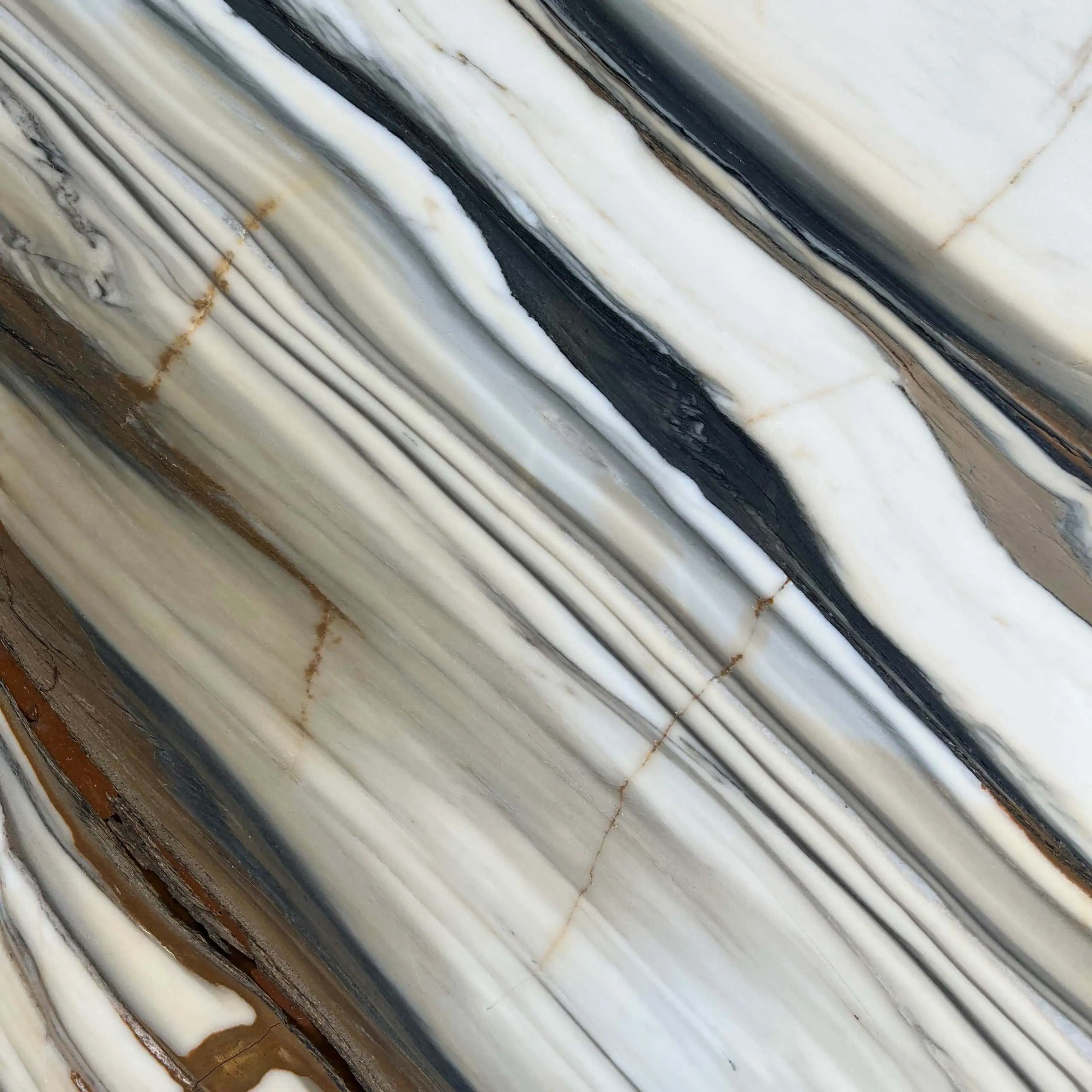 Calacatta Oyster Marble Swatch