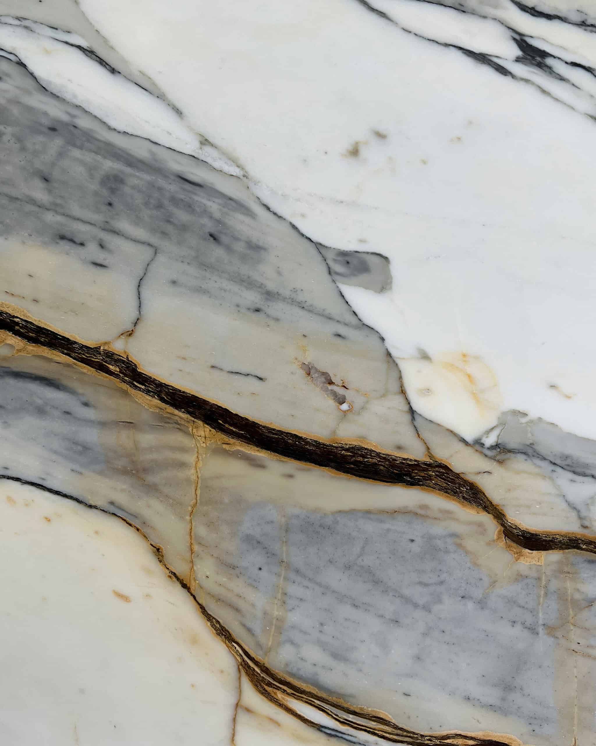 Calacatta Picasso Marble Swatch