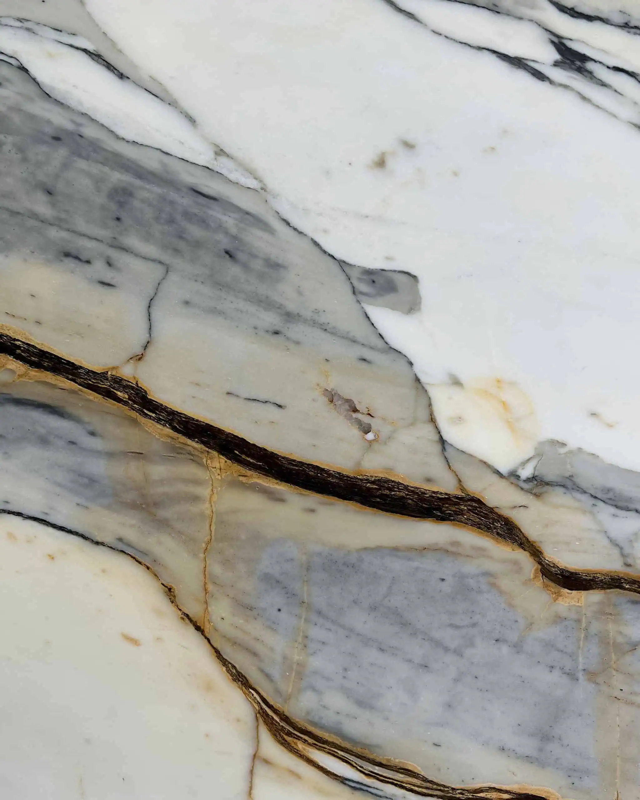 Calacatta Picasso Marble Swatch