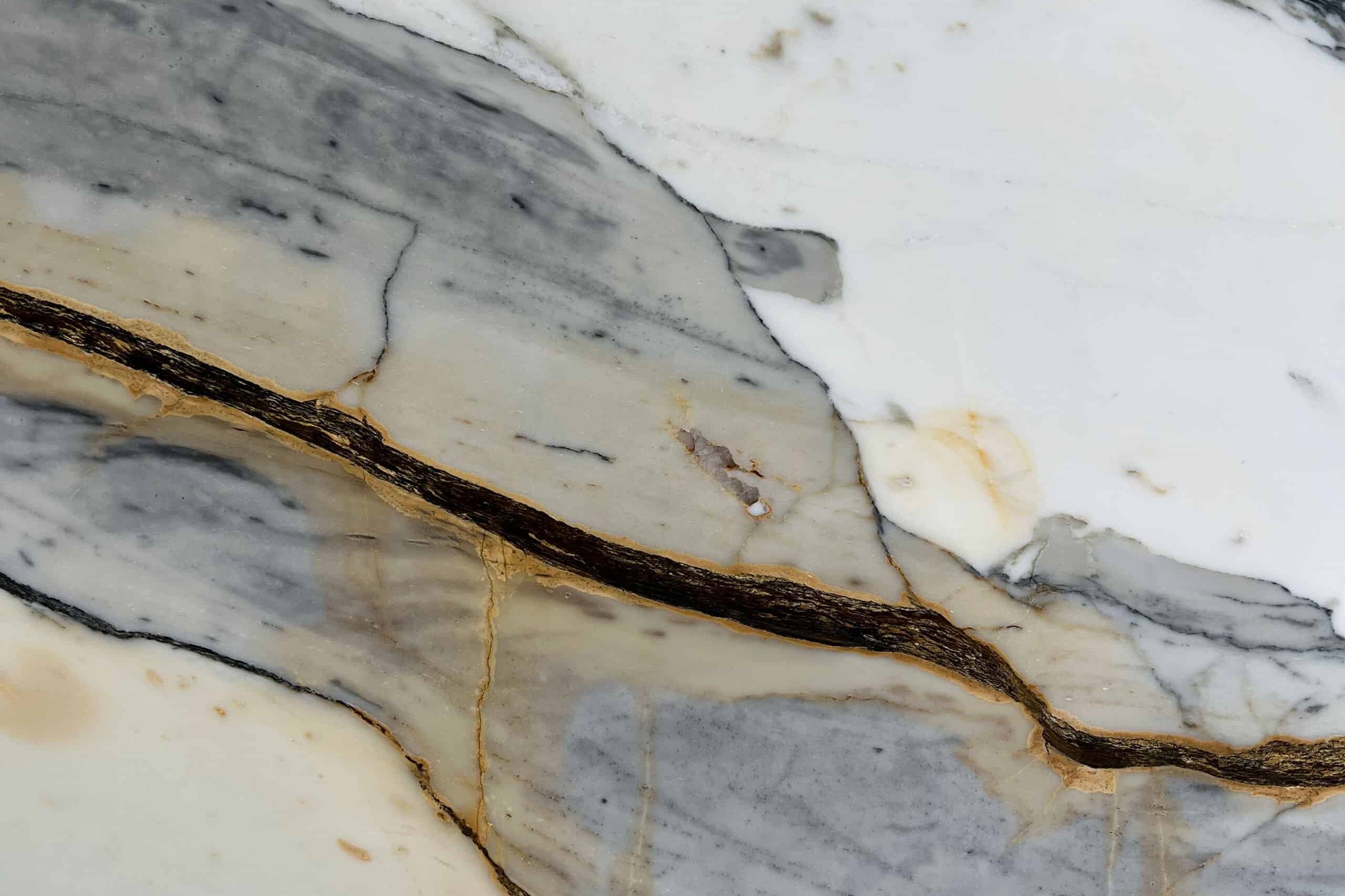 Calacatta Picasso Marble Swatch